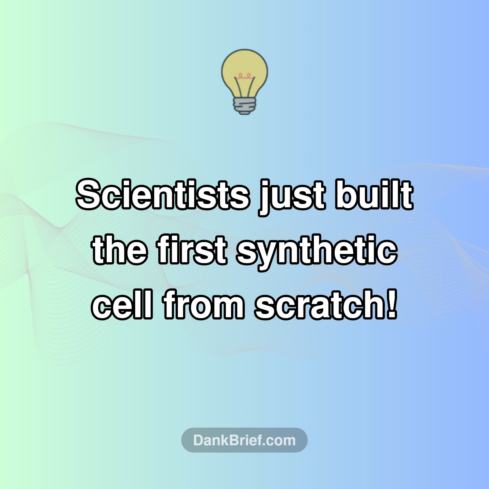 The Dawn of Synthetic Life