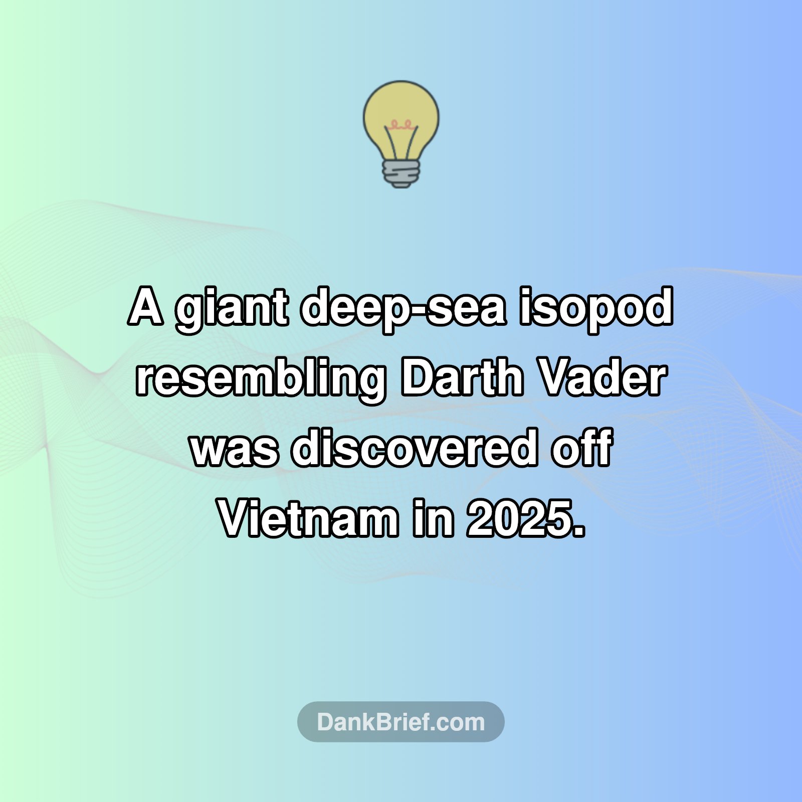 The Force is Strong in the Deep Sea: Meet the Darth Vader Isopod!