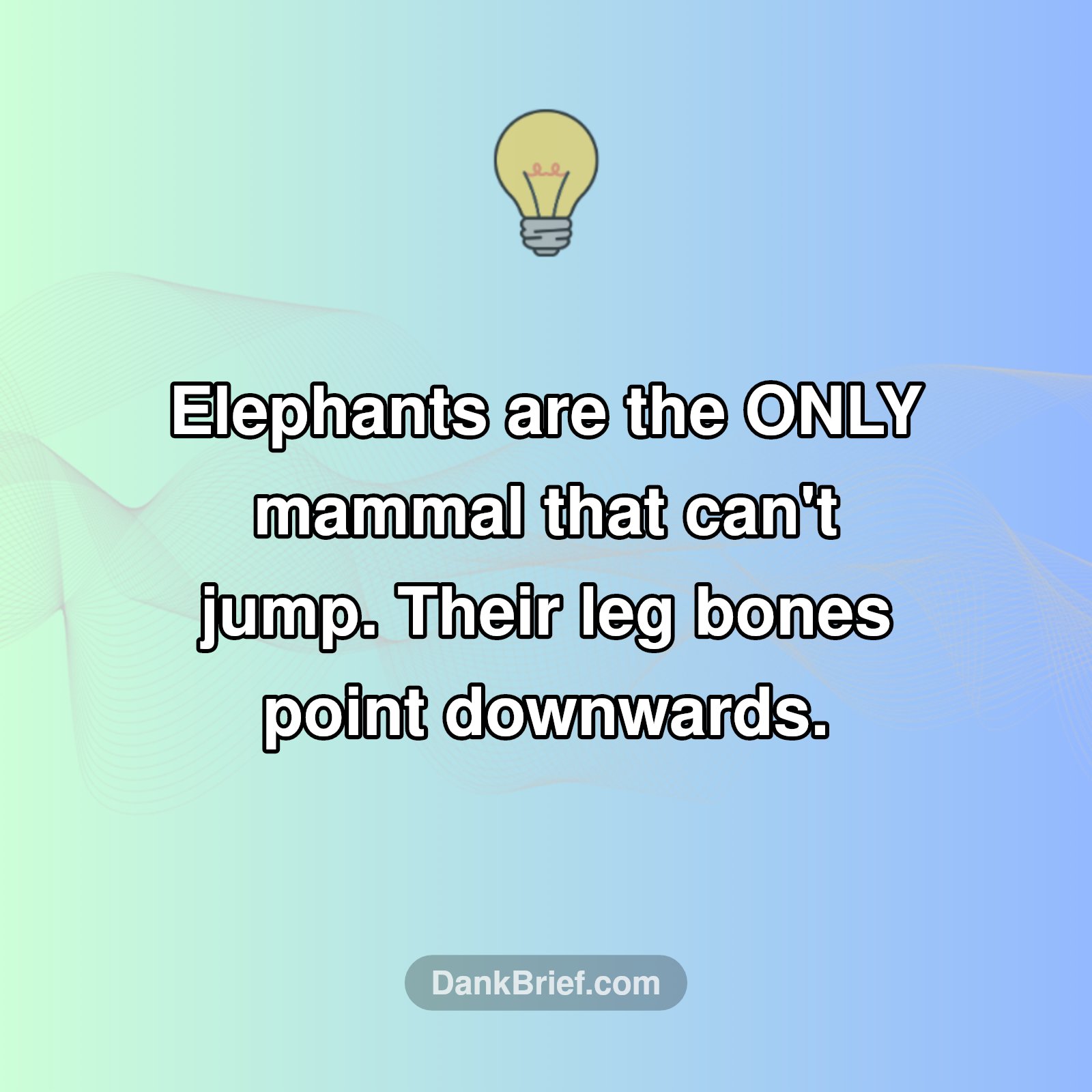 Elephants Can't Jump?!