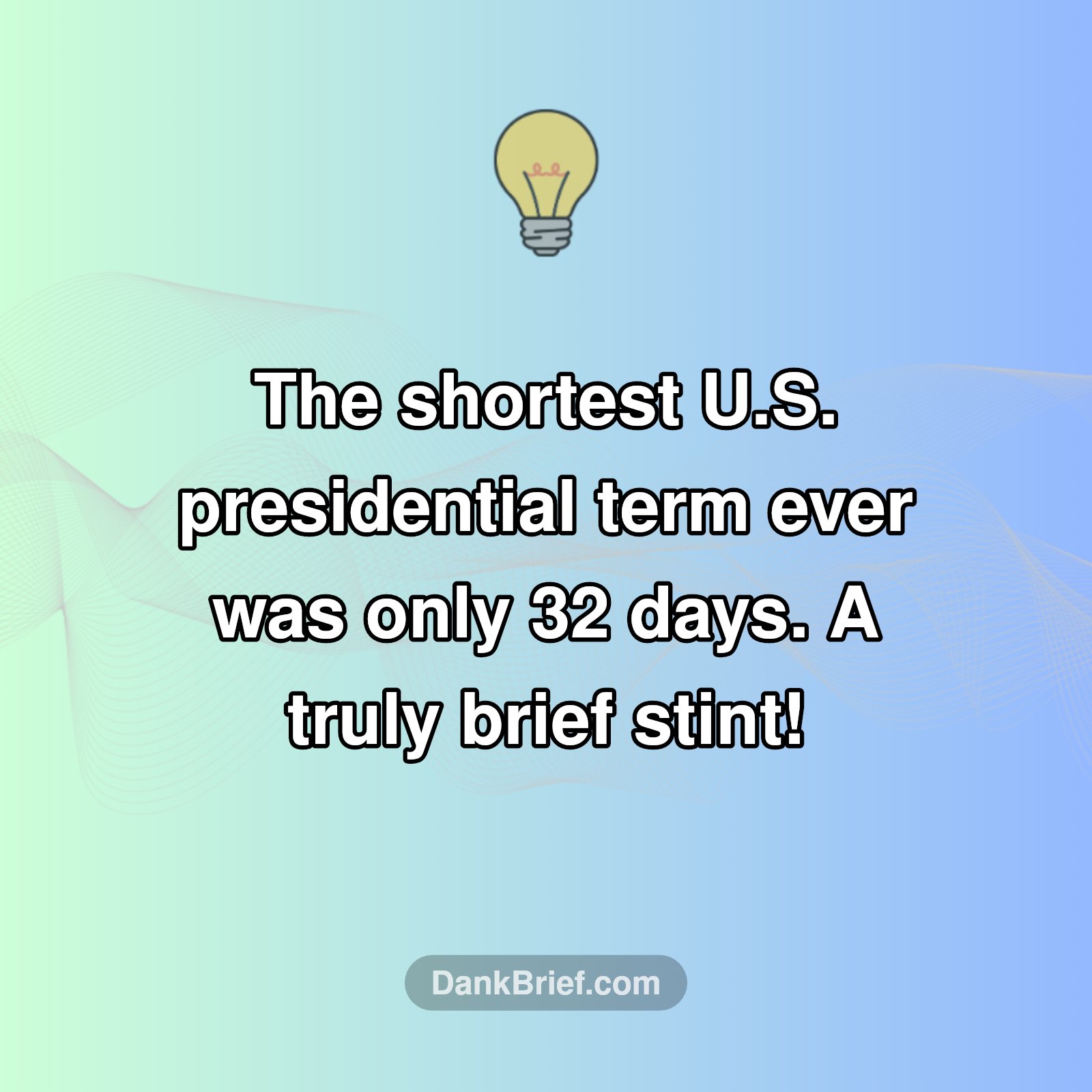 Blink and You'll Miss It!