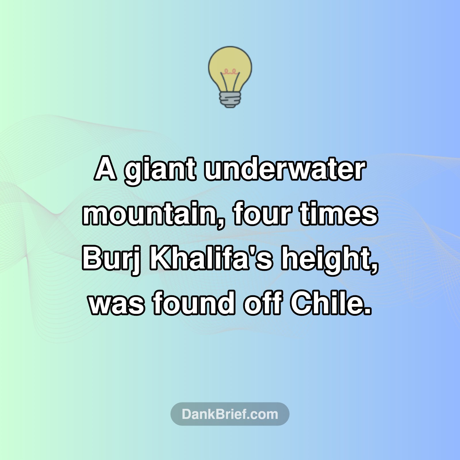 Ocean's Hidden Giants!