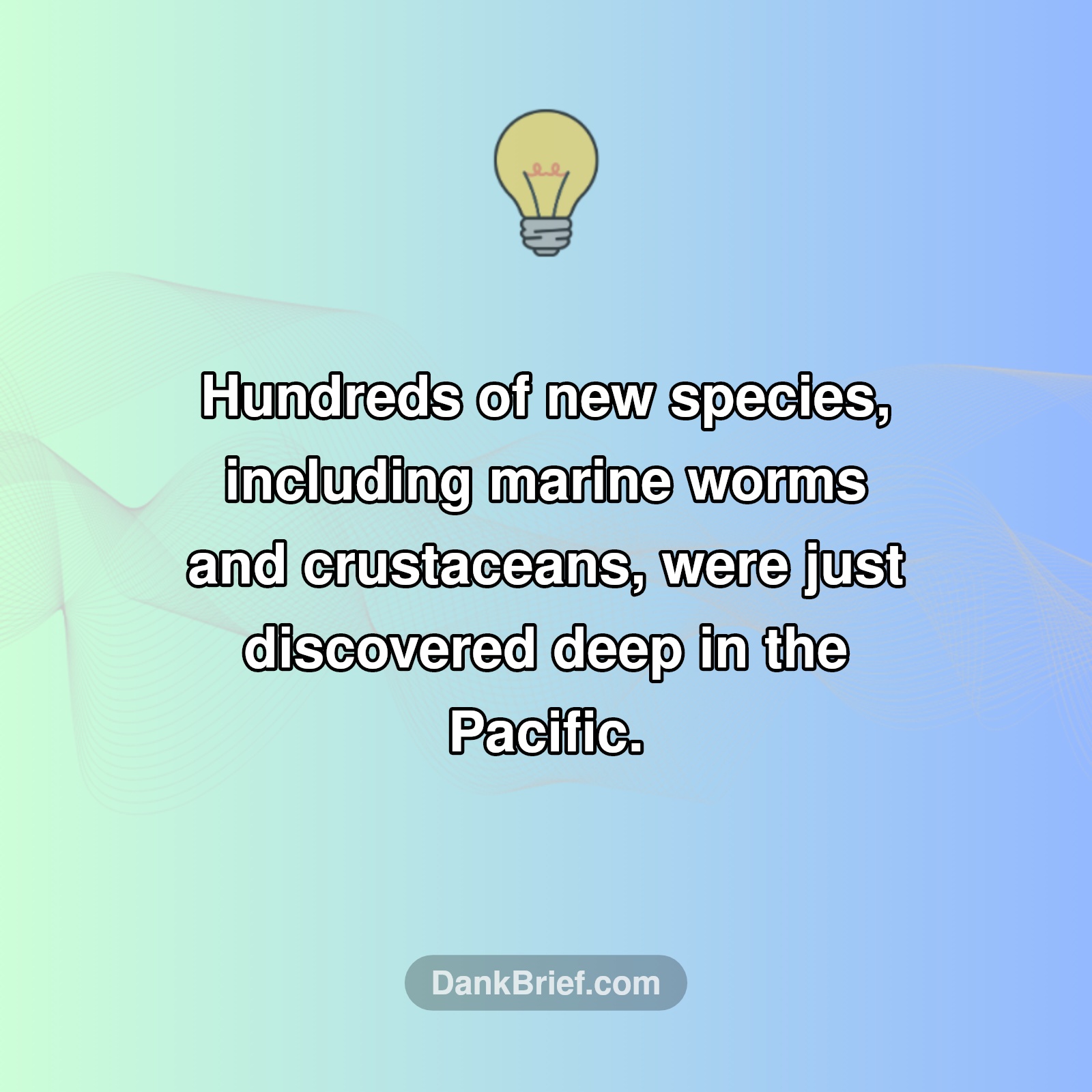 Ocean's Hidden Depths Revealed