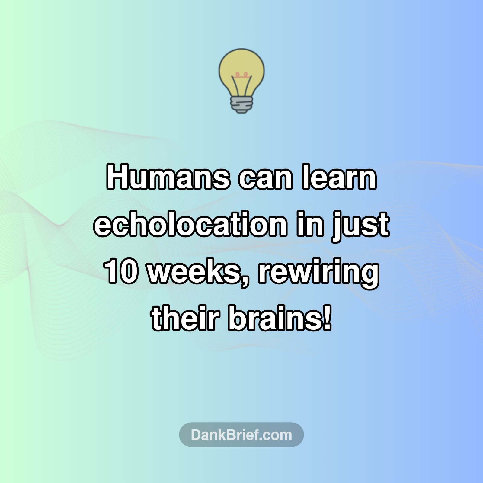 Your Brain Can Learn Echolocation!
