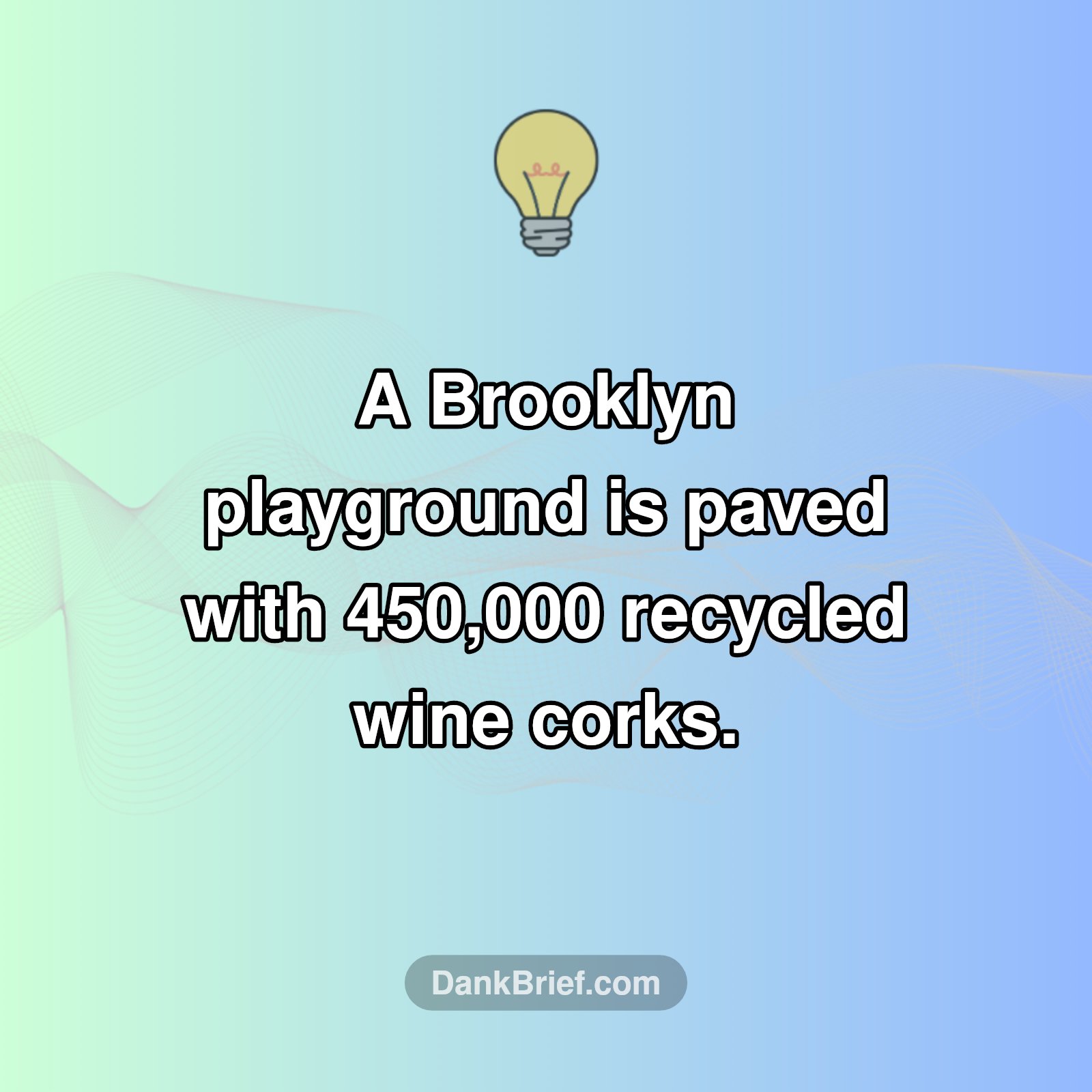 Corky Creation in Brooklyn!