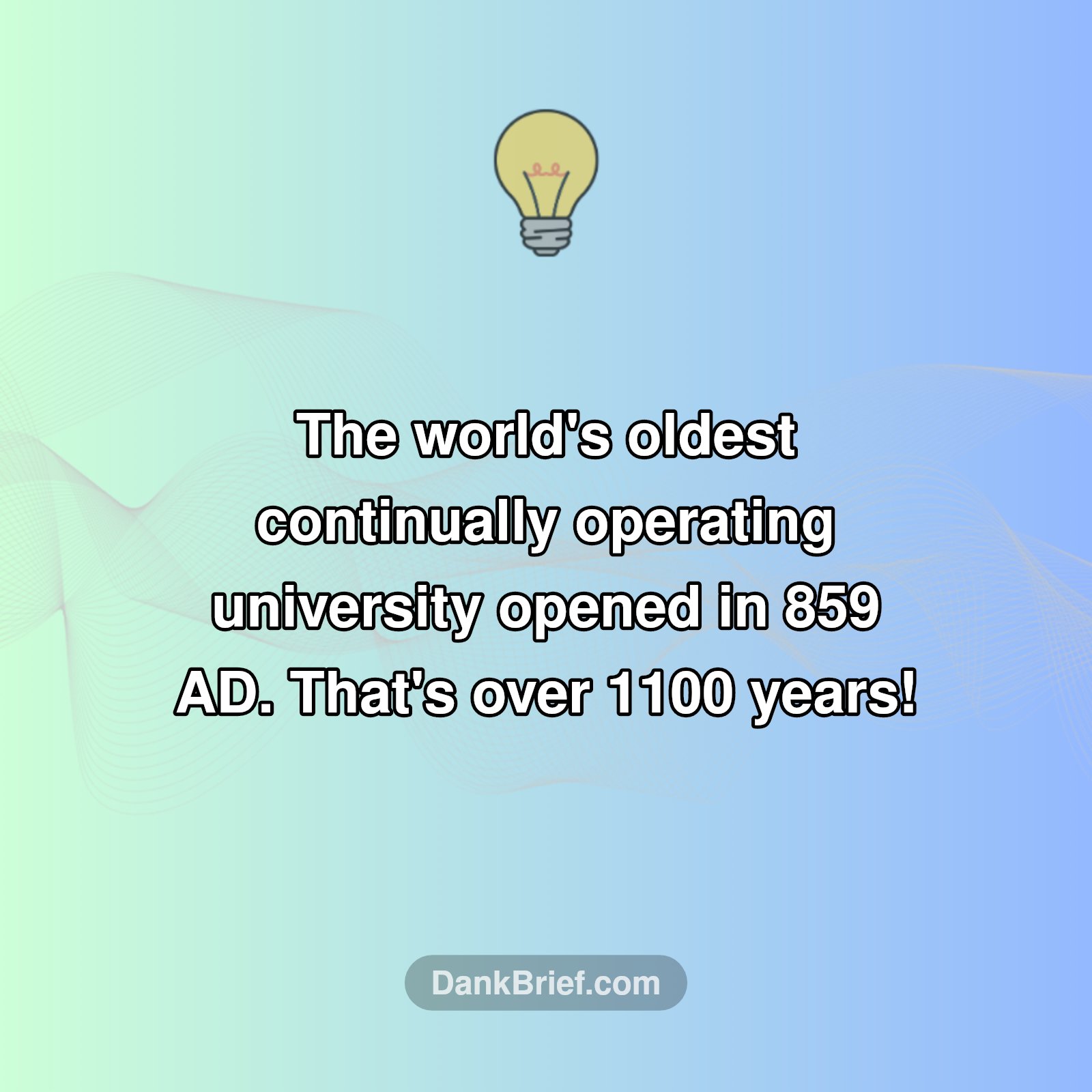 Mind-Blown! This Uni Is ANCIENT
