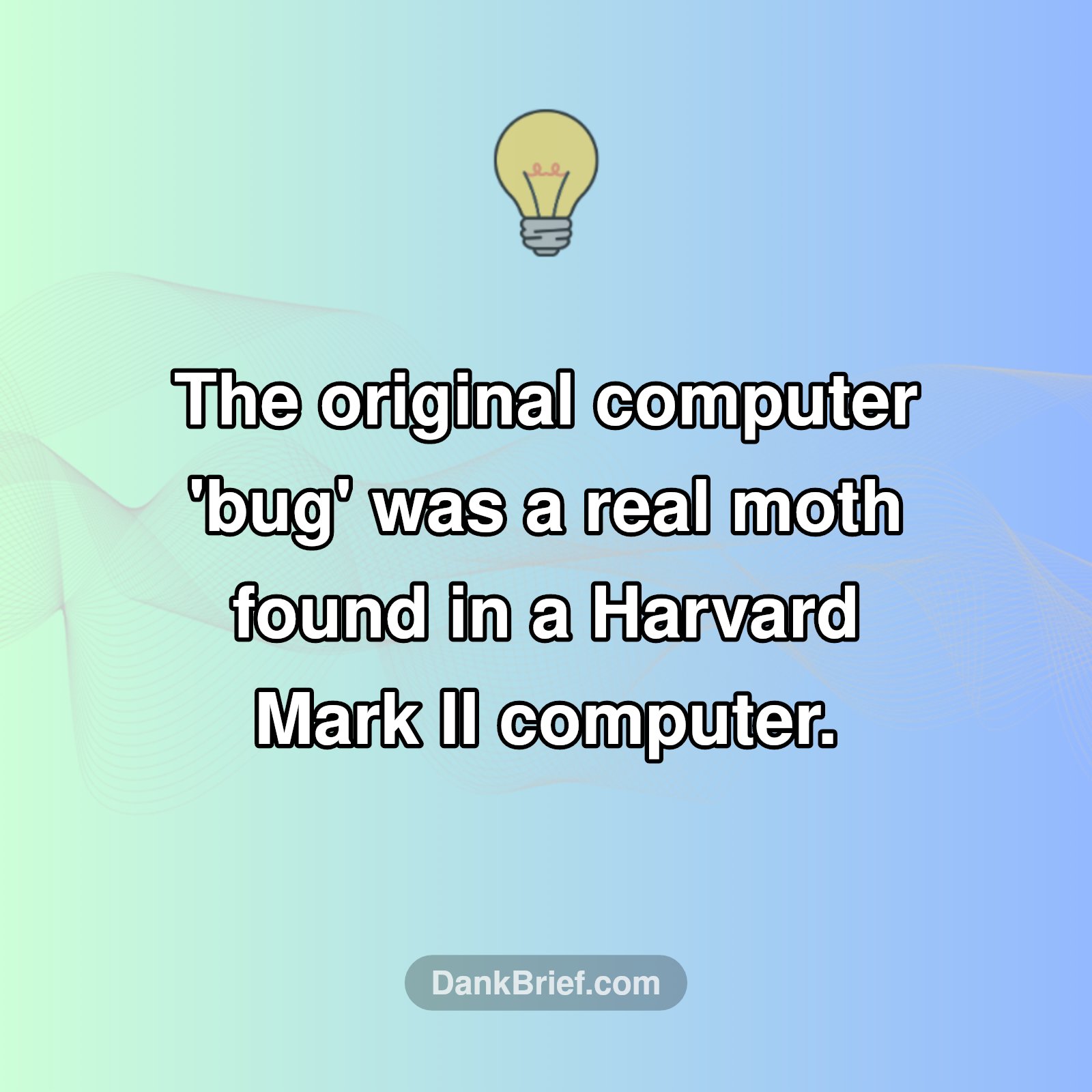 Mind Blown: The First Computer 'Bug' Was REAL!