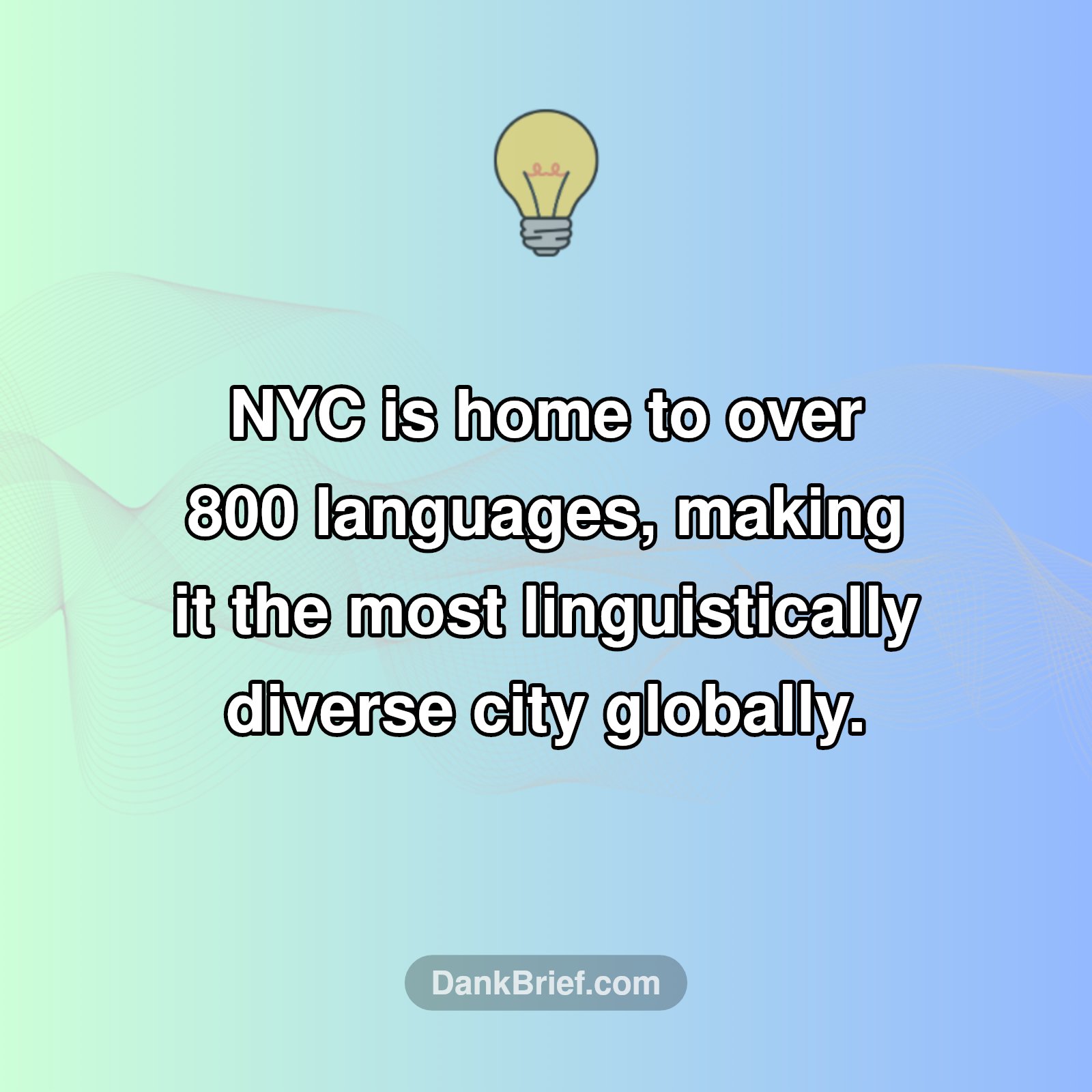 Mind Blown: NYC's Secret Language Power!