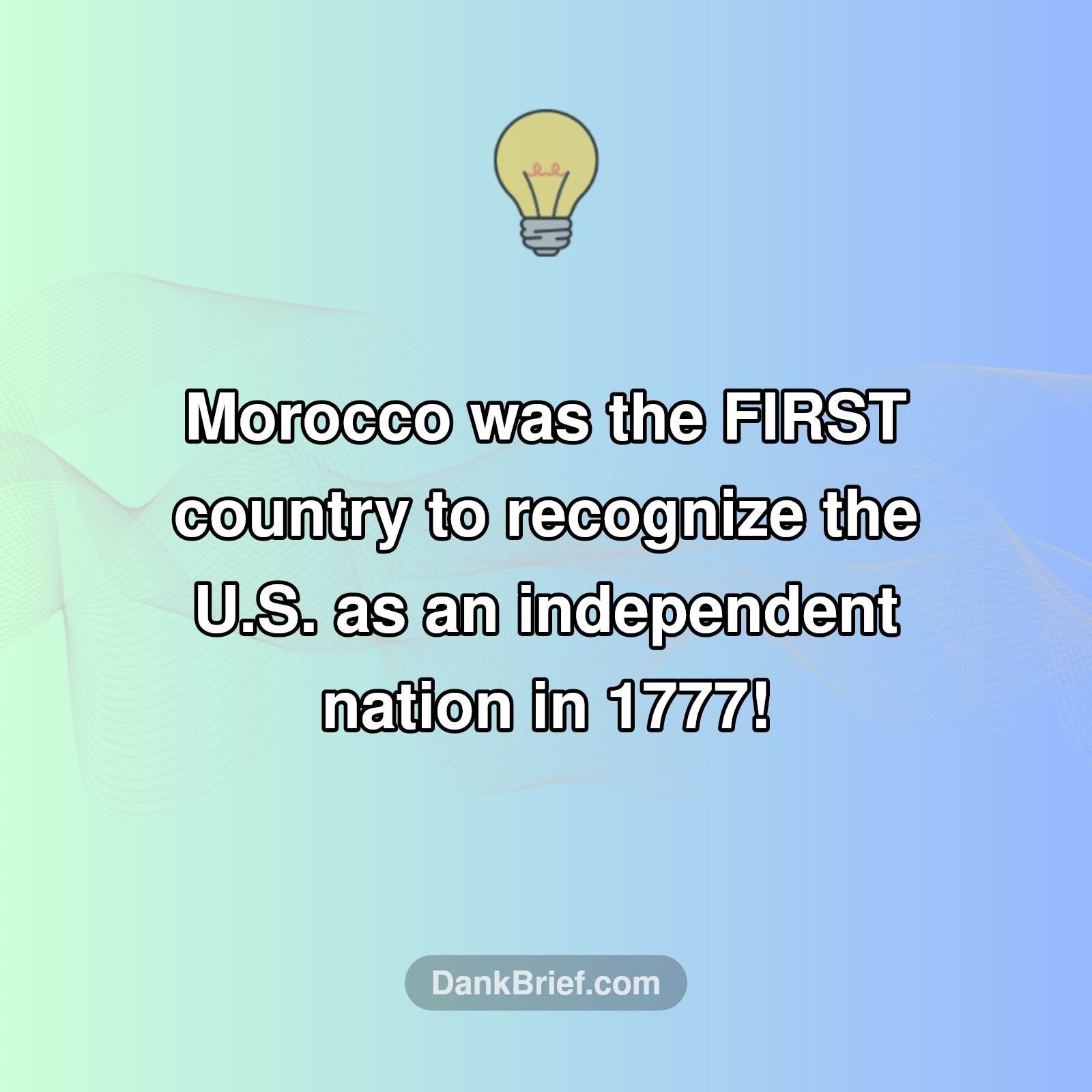 Mind Blown: Morocco's USA First!