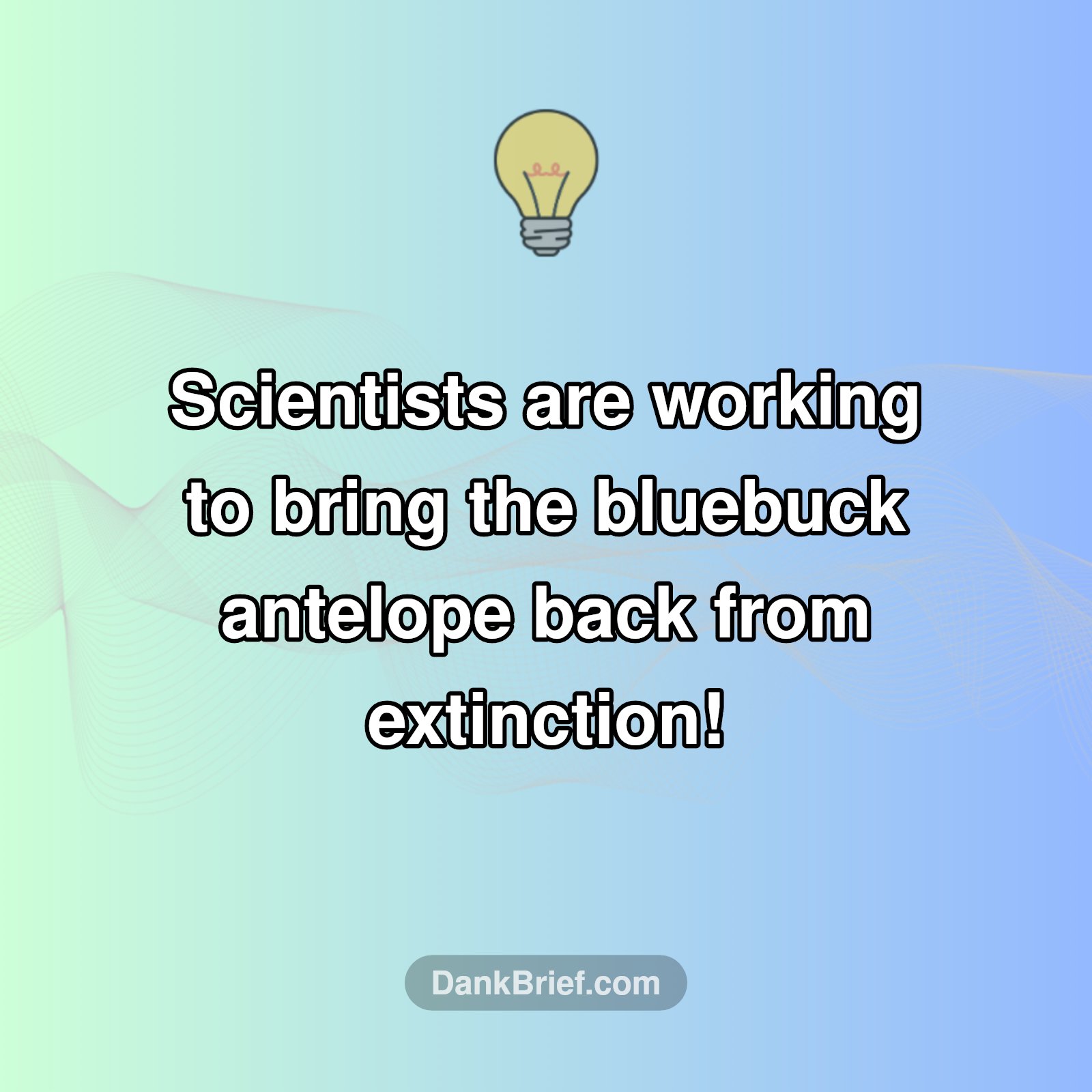 De-Extinction Dream: Bluebuck Return?