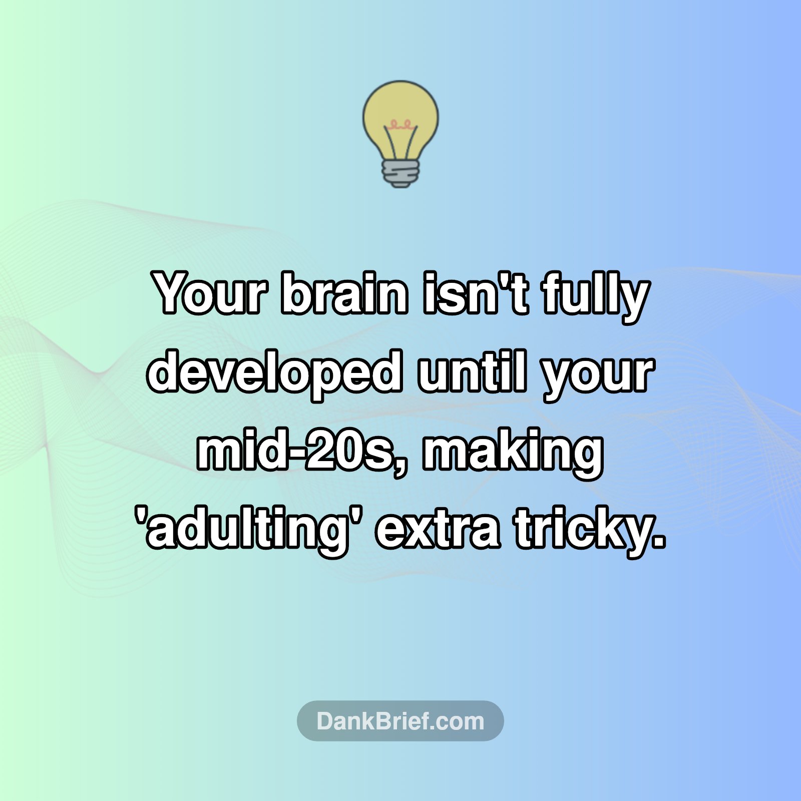 Your Brain's Not Done Adulting Yet!