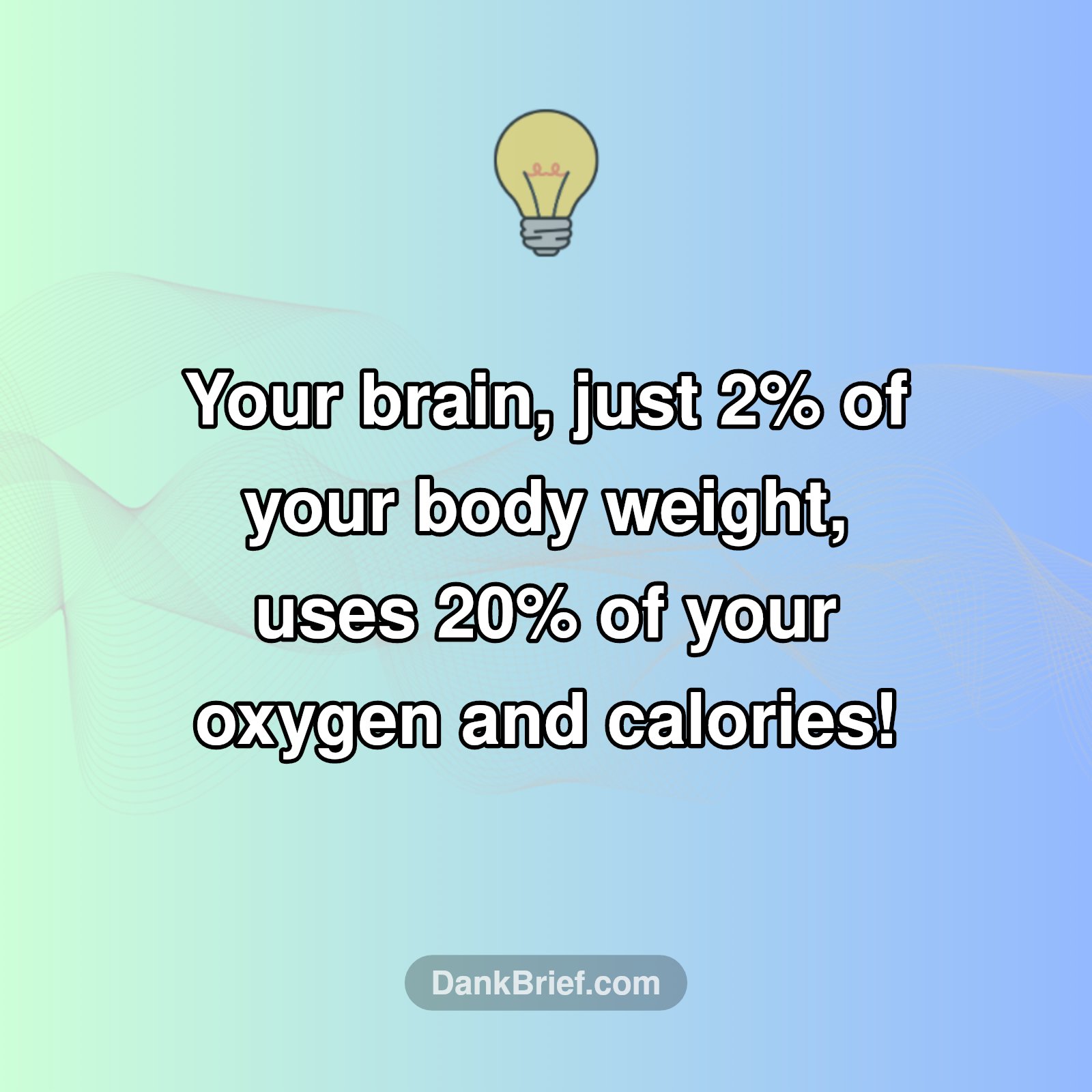 Your Brain's Secret Energy Bill!