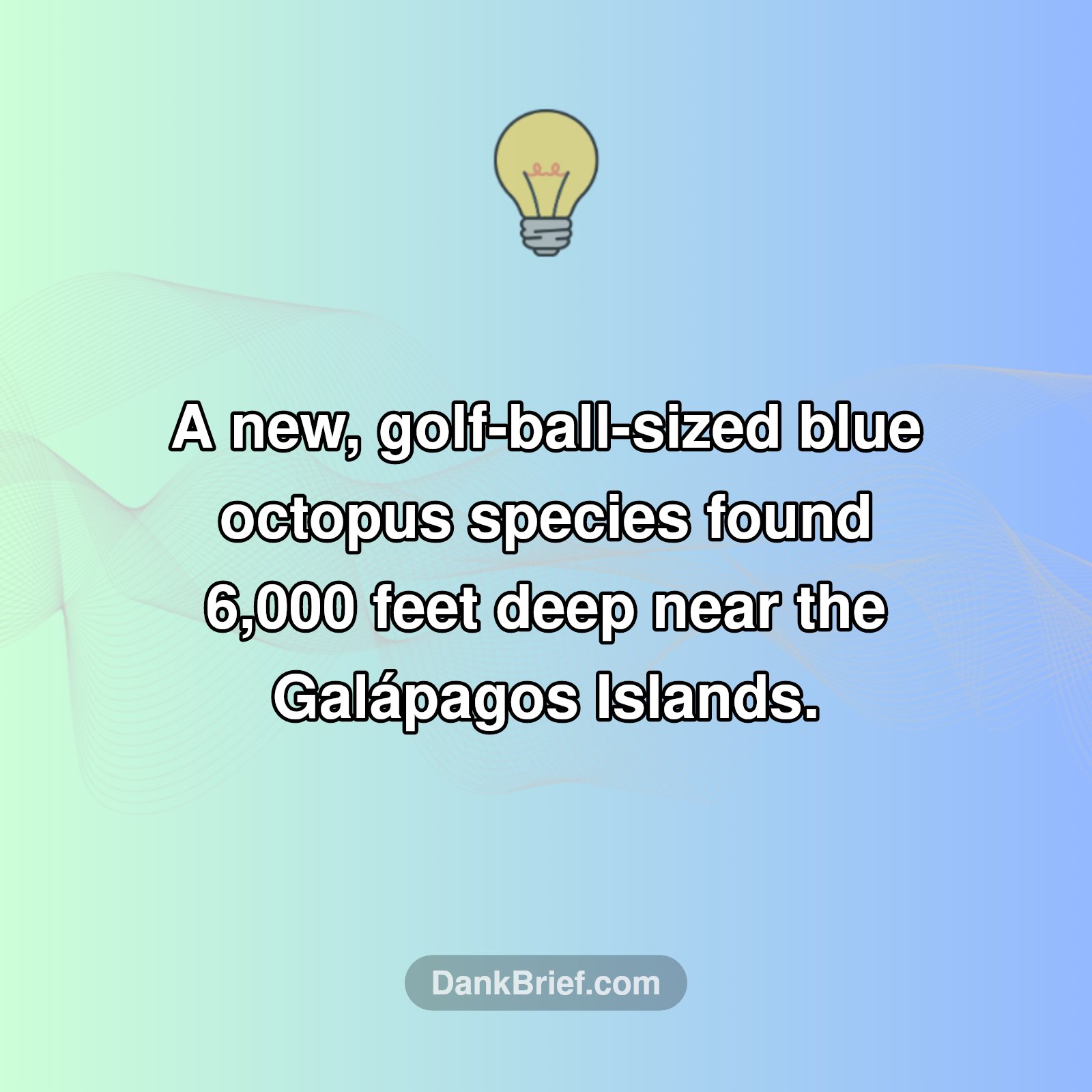 Deep-Sea Marvel!