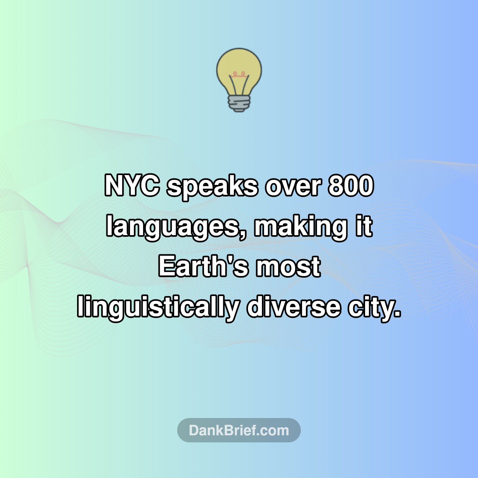 NYC: The World's Language Capital?