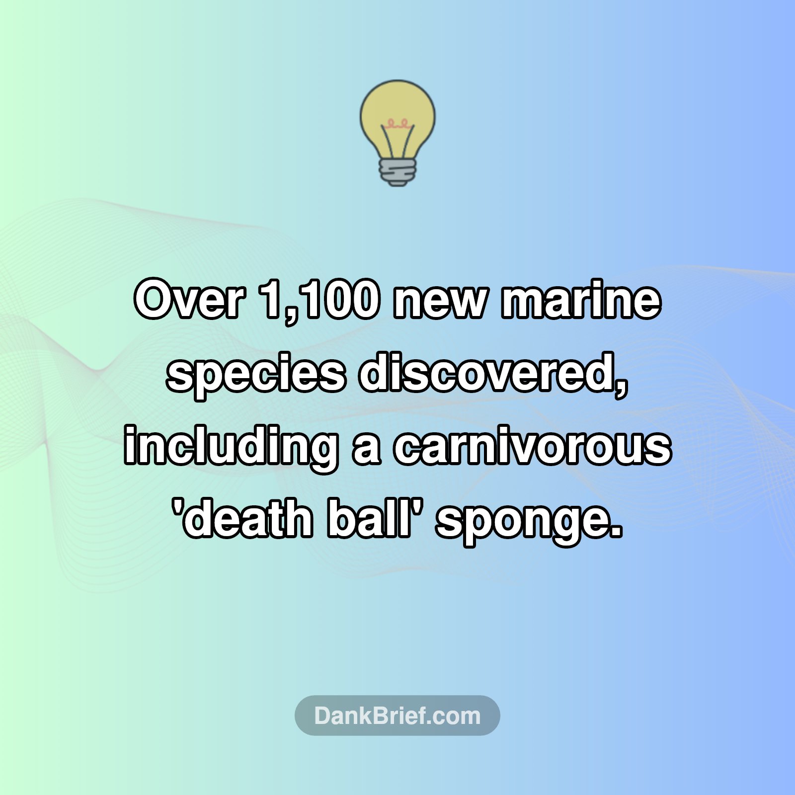 Deep Sea Secrets Revealed!