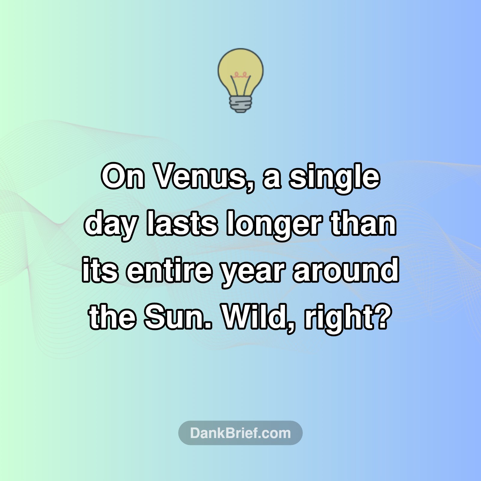 Mind-Bending Venus Fact!