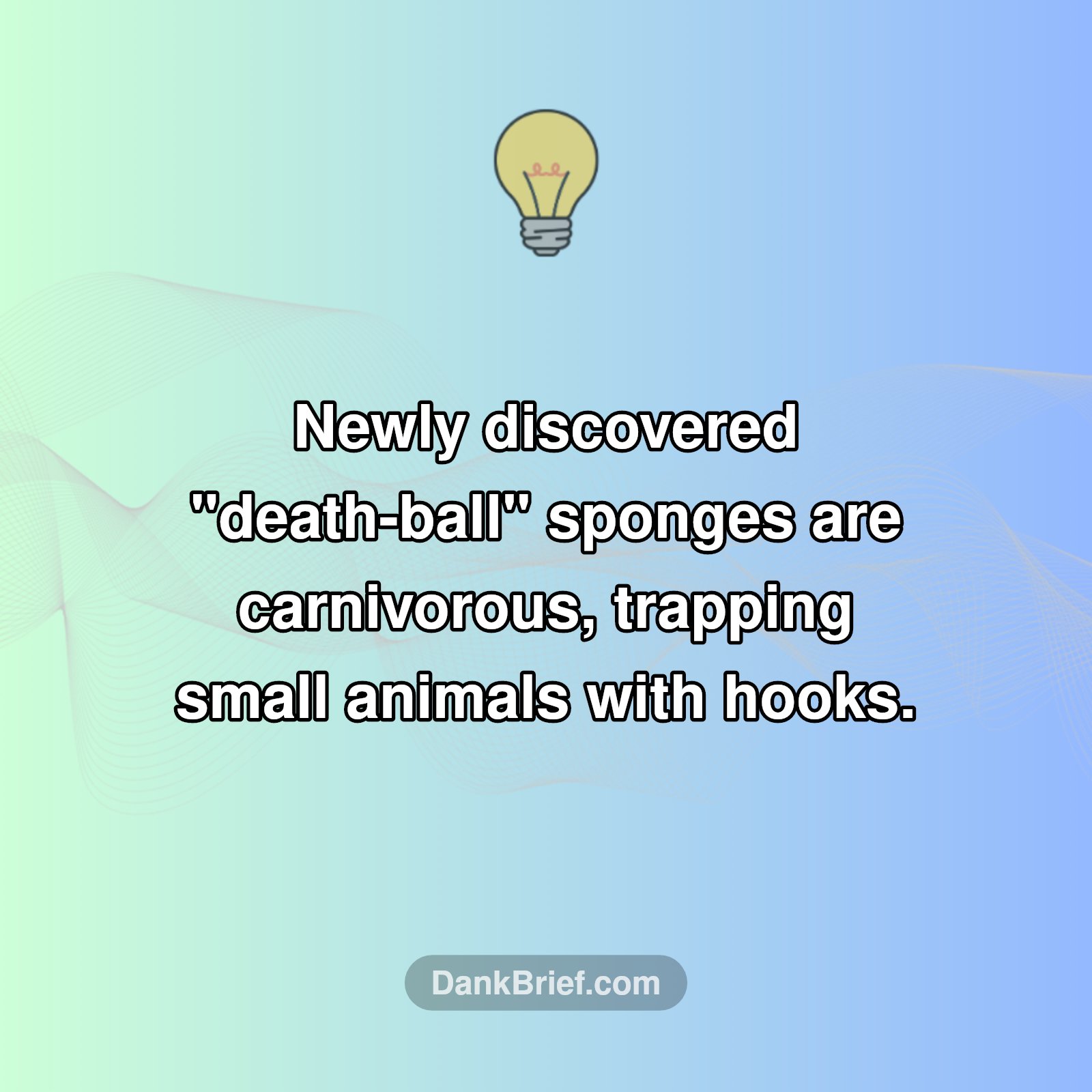 Deep-Sea Shocker: Sponges Turn Predator!