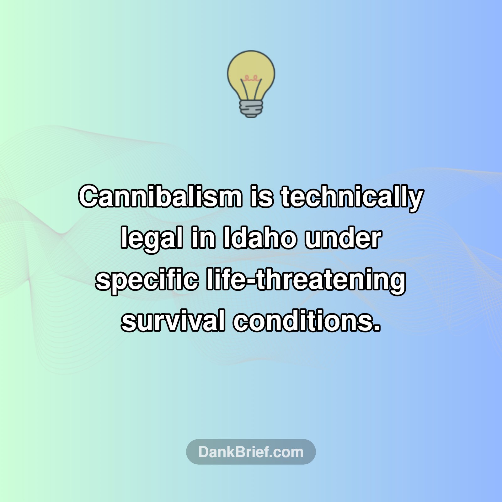 Idaho's Wild Survival Law