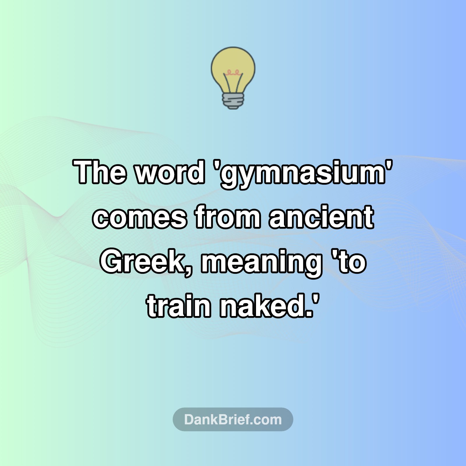 WTF Gym Origin Story!