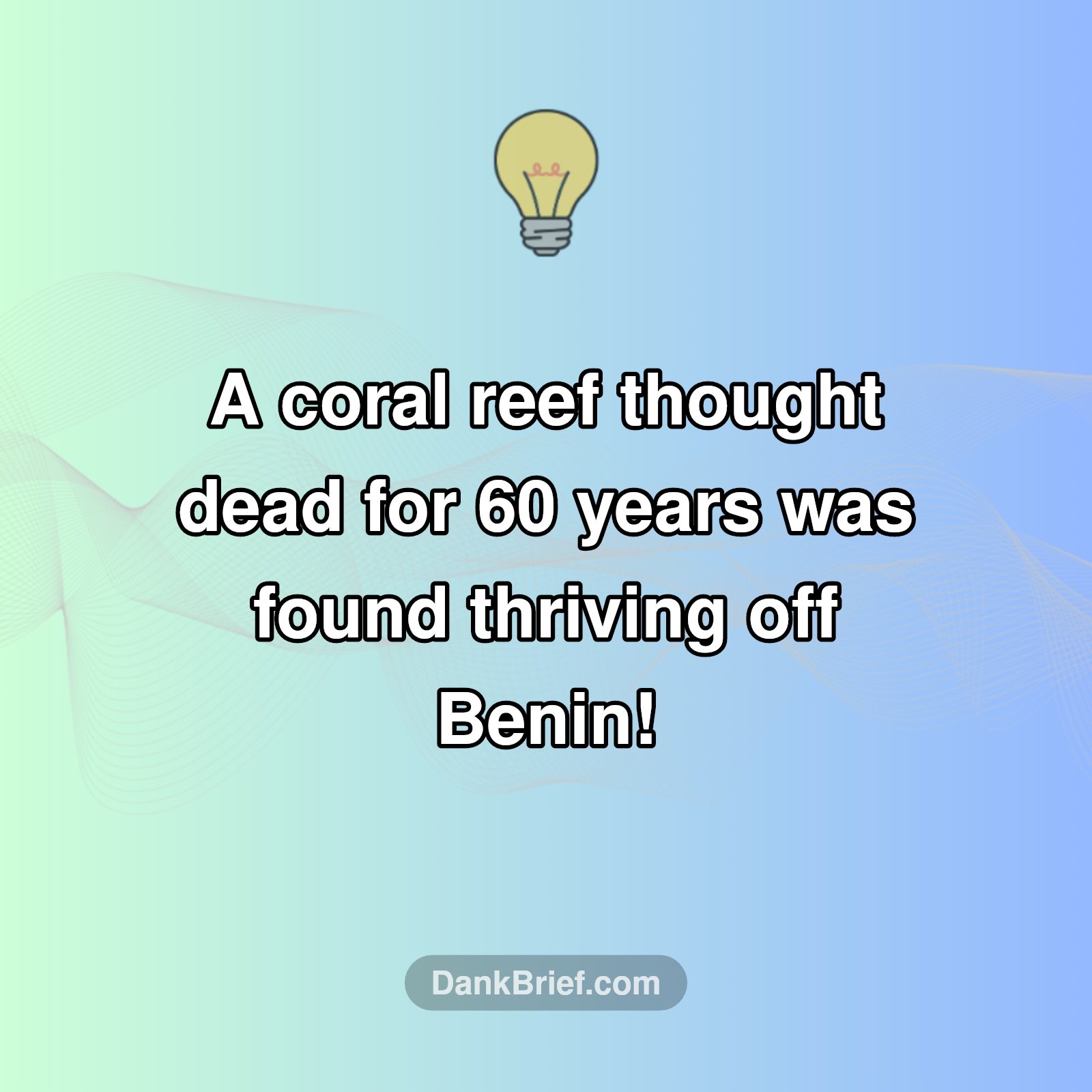 Ocean's Secret Keeper: The Resilient Coral Reef!