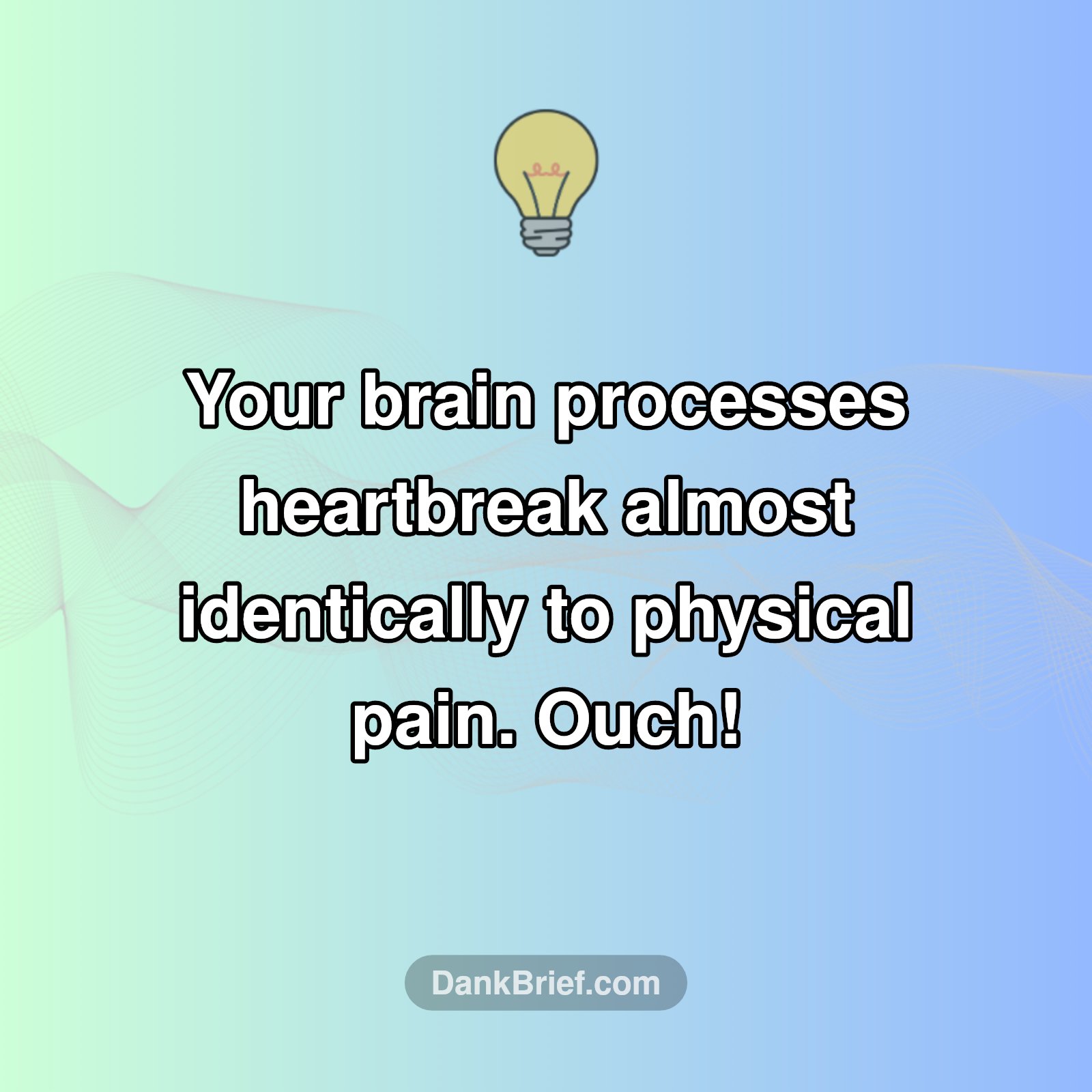 Heartbreak Is *Literally* Painful!