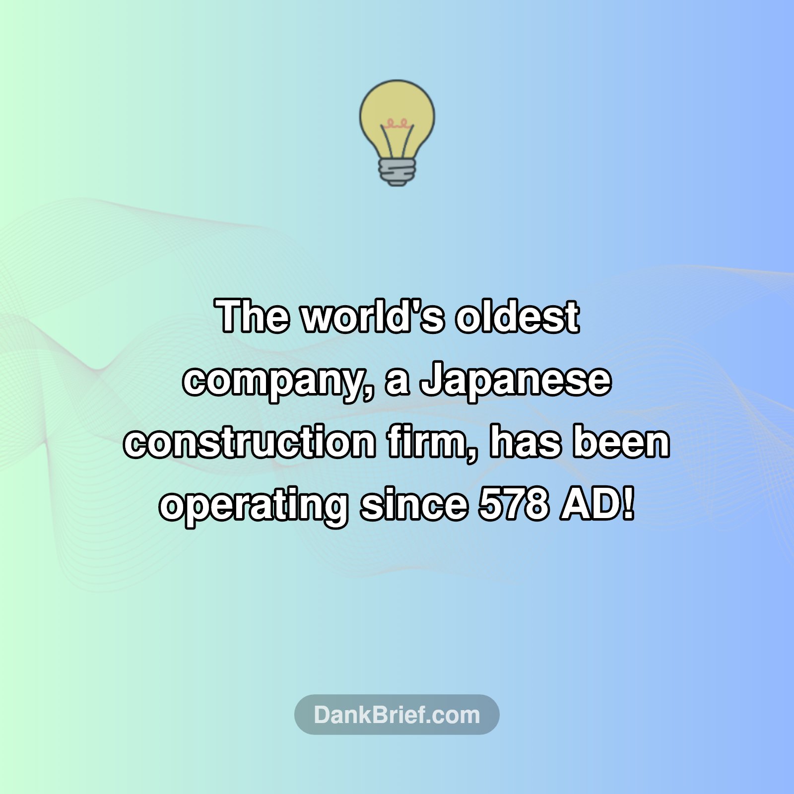 Forever Biz: The World's Oldest Company Stuns!