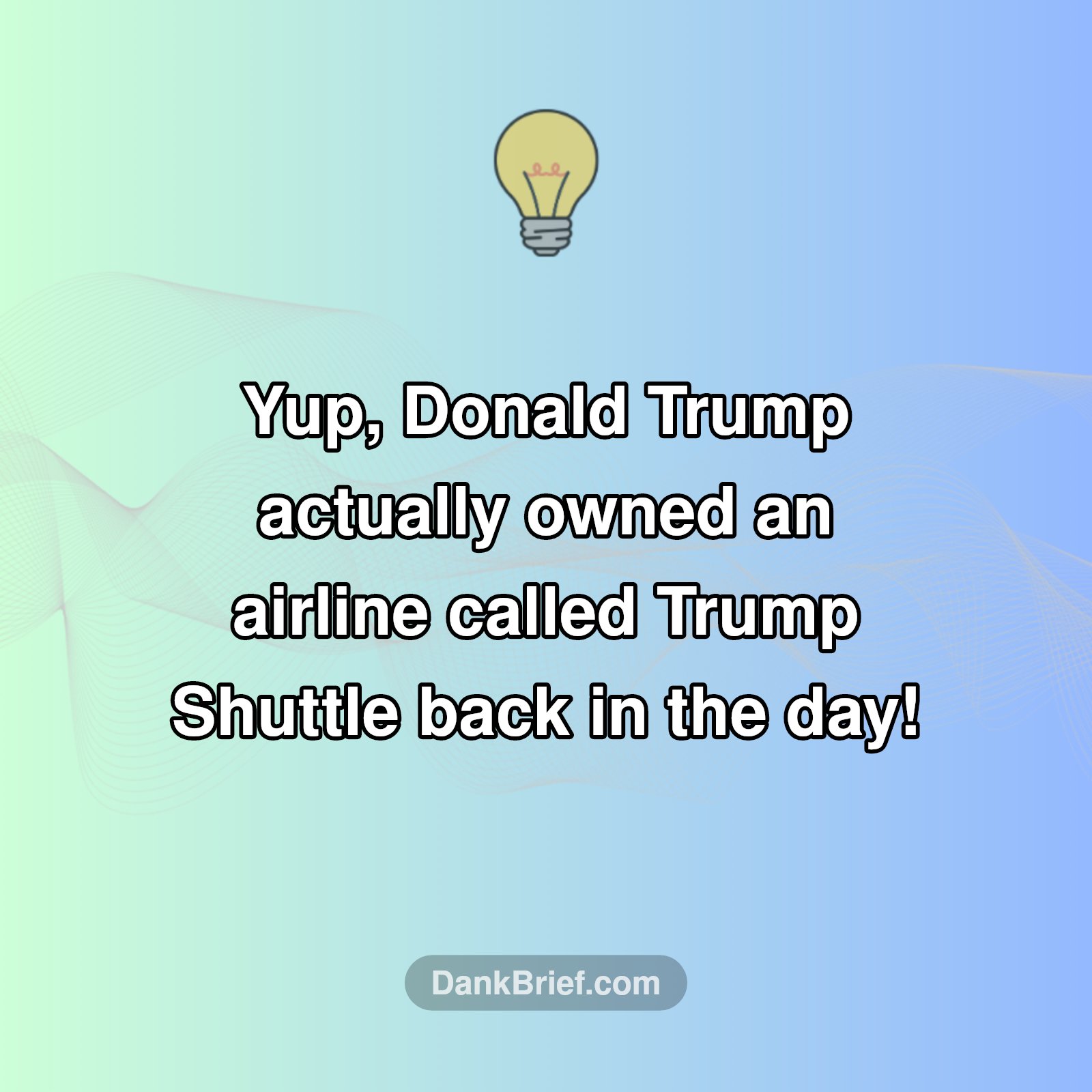 High-Flying Mogul: Trump's Airline Adventure!