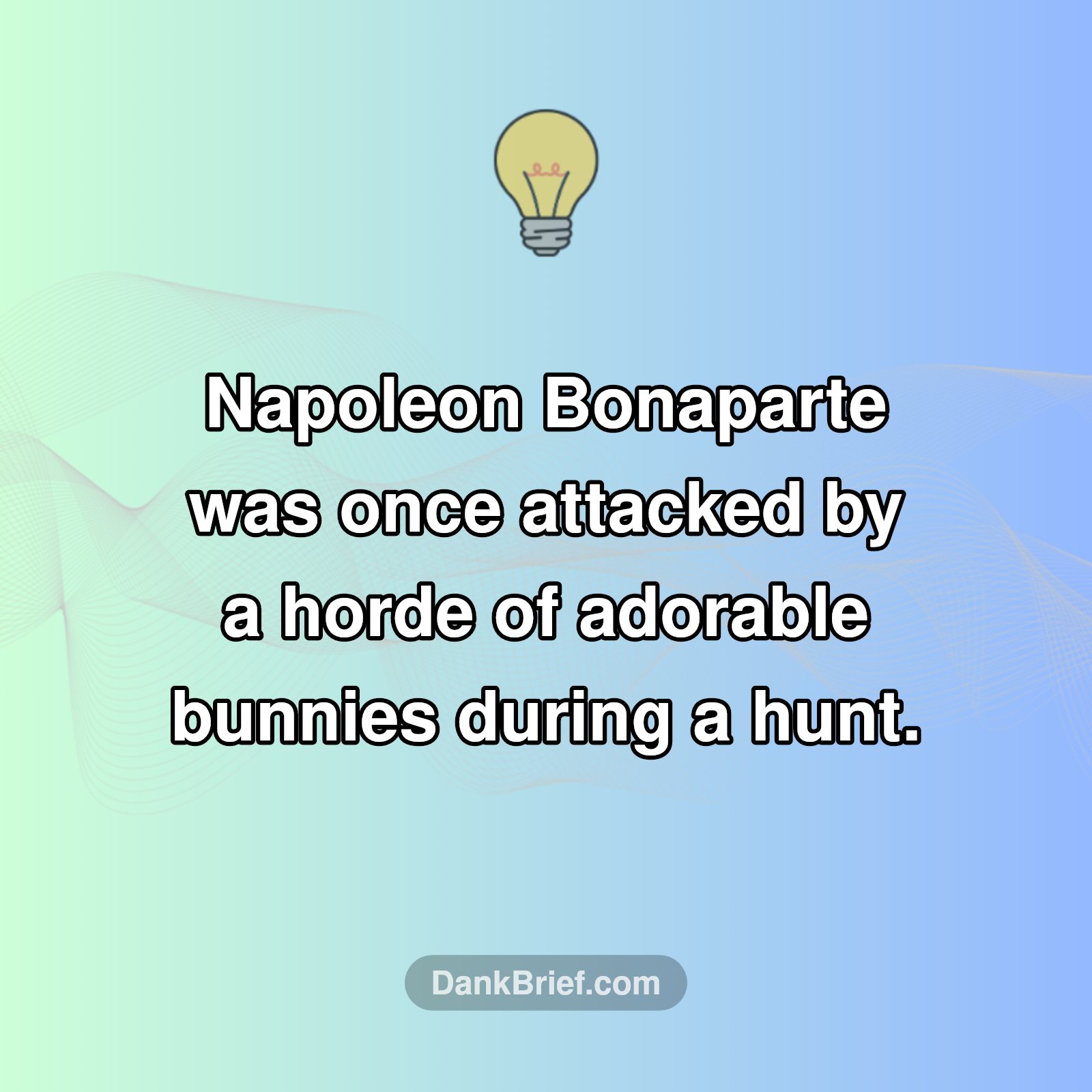 Napoleon's Bizarre Bunny Battle