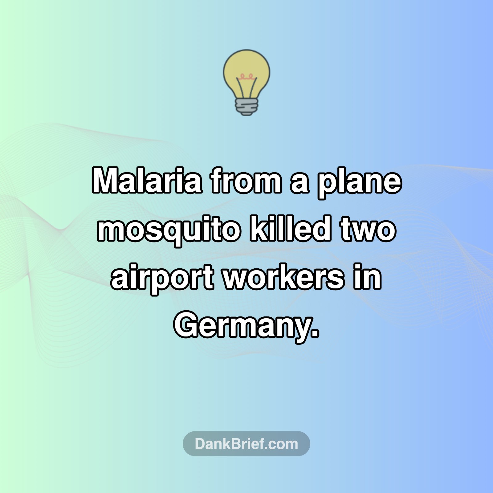Unbelievable! Malaria in Germany?