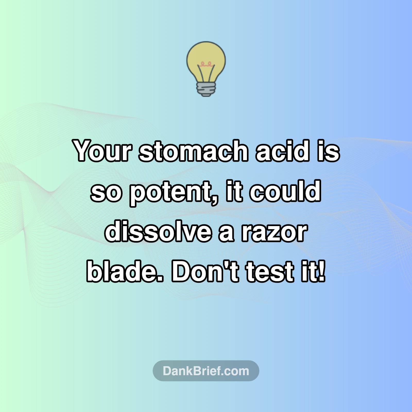Your Stomach is WILD