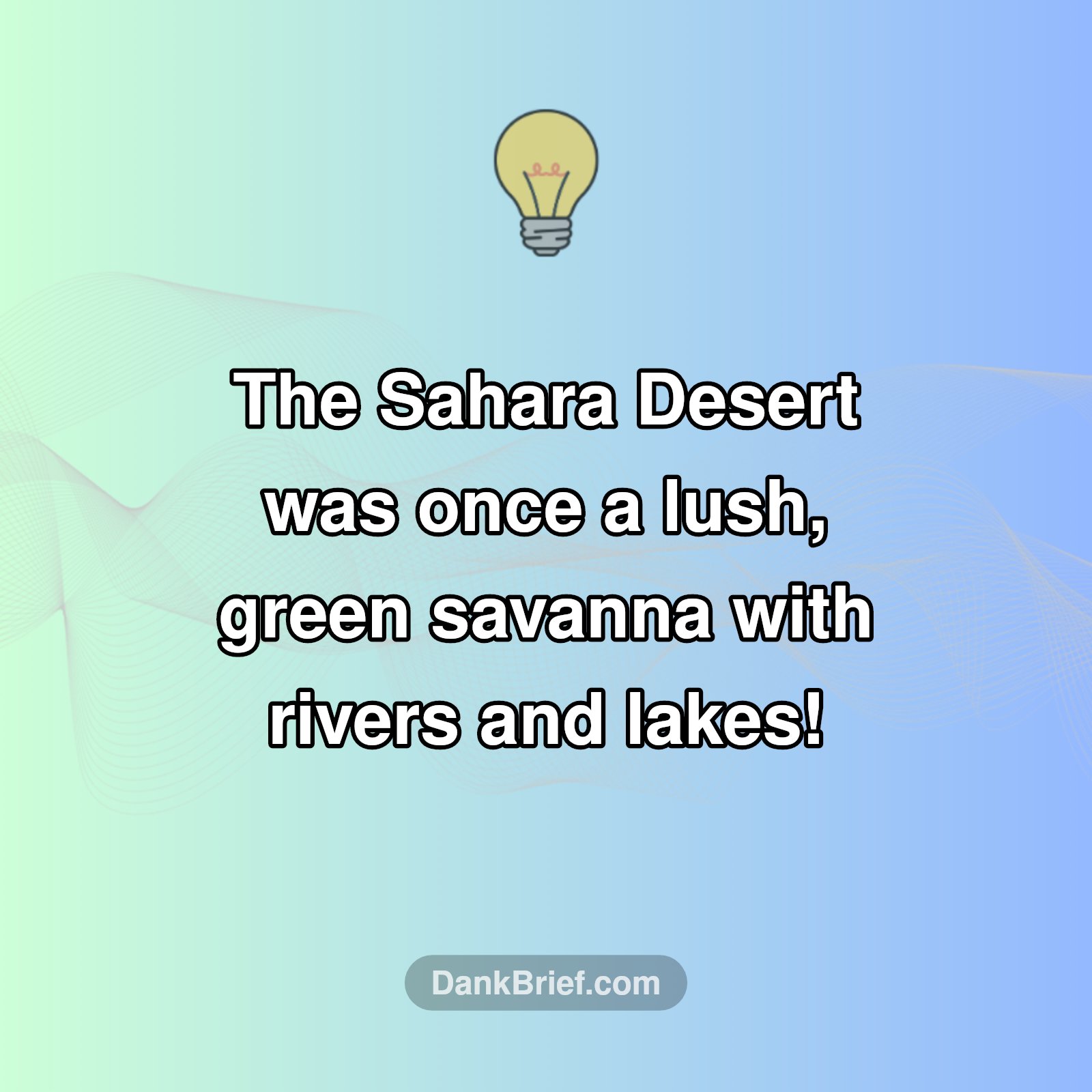 Mind Blown: Sahara's Secret Past!