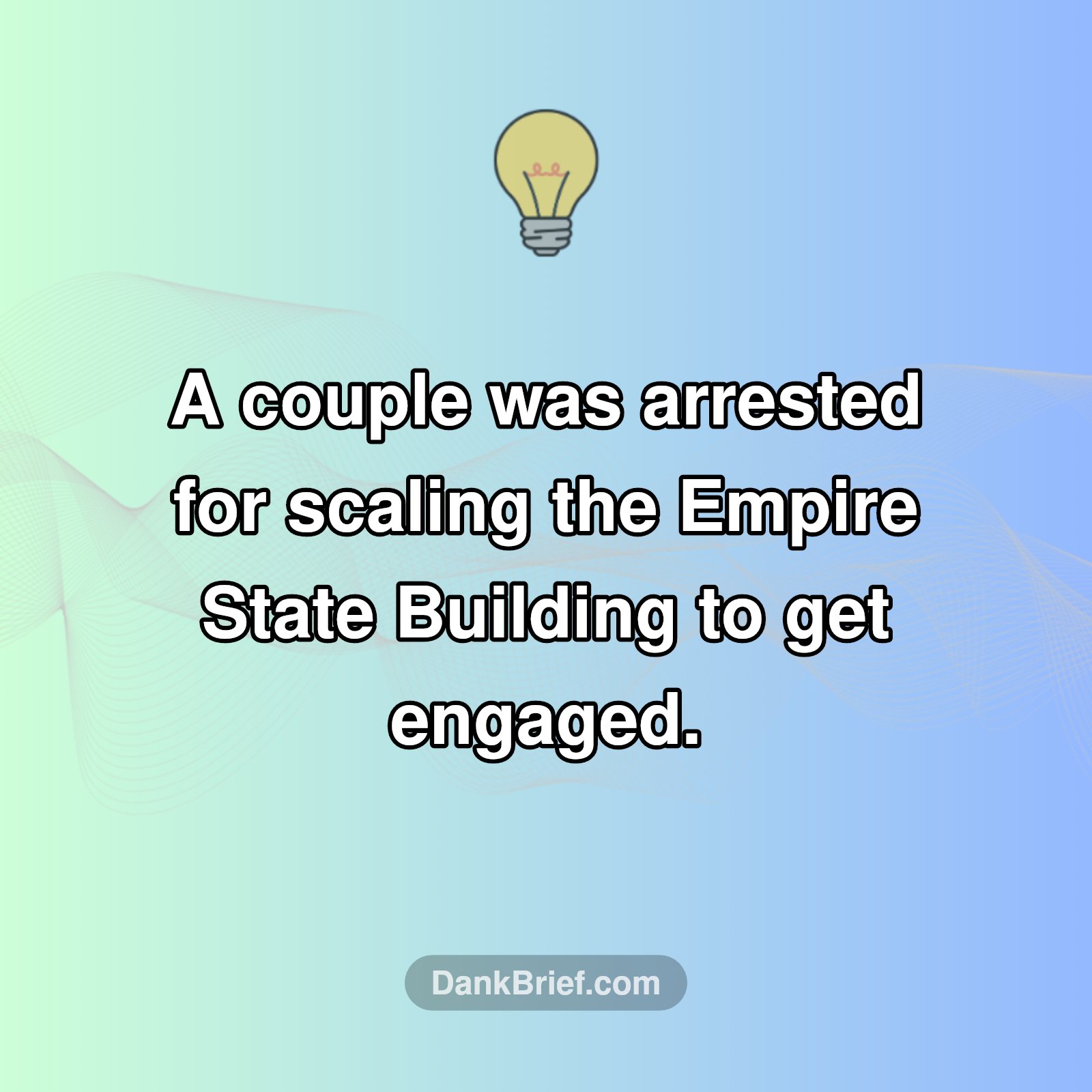 NYC's Wildest Proposal!