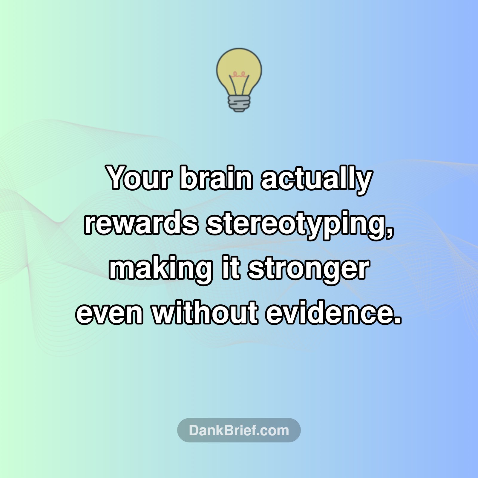 The Brain's Stereotype Habit