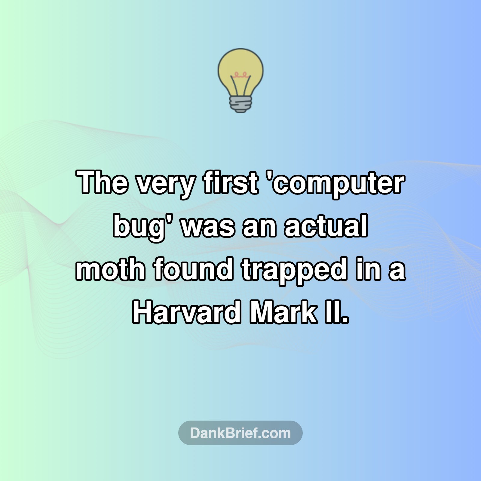 The OG Computer Bug Was... Literal?!