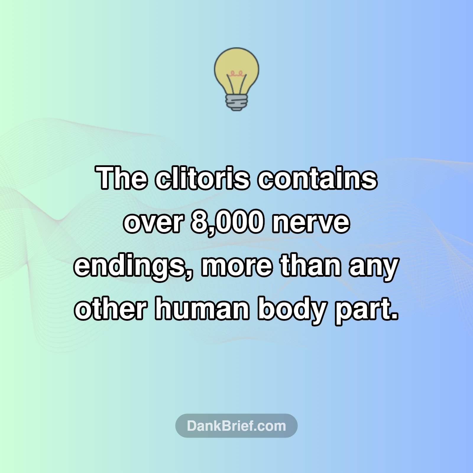 Mind Blown: The Body's ULTIMATE Nerve Center!