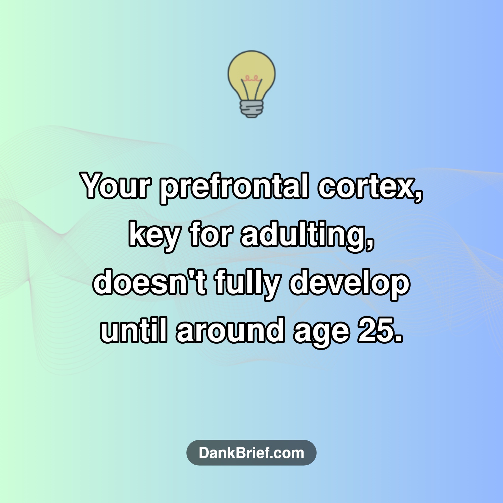 Still feel like a kid while "adulting"? Your brain's on your side!