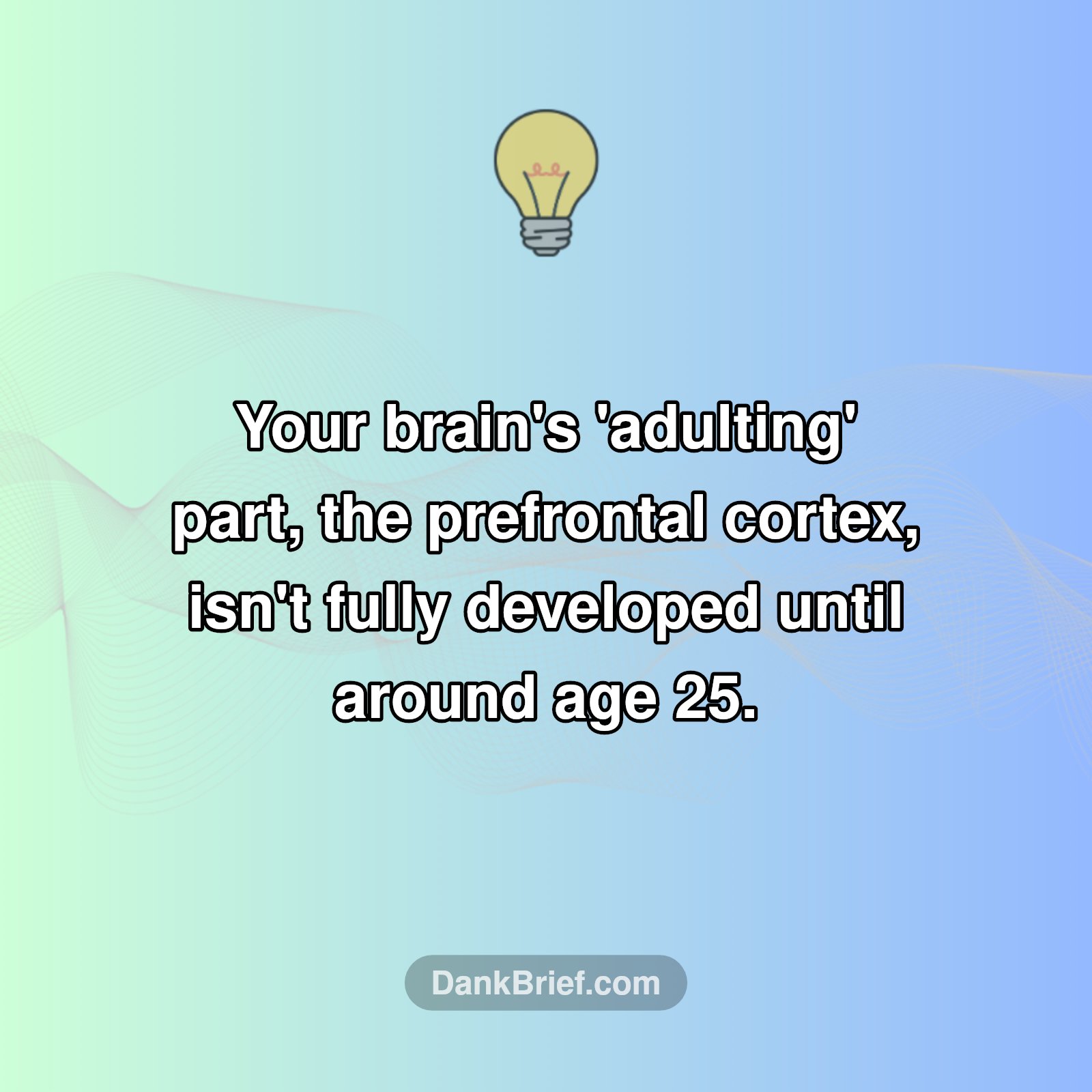 Your Brain's Adulting Secret!
