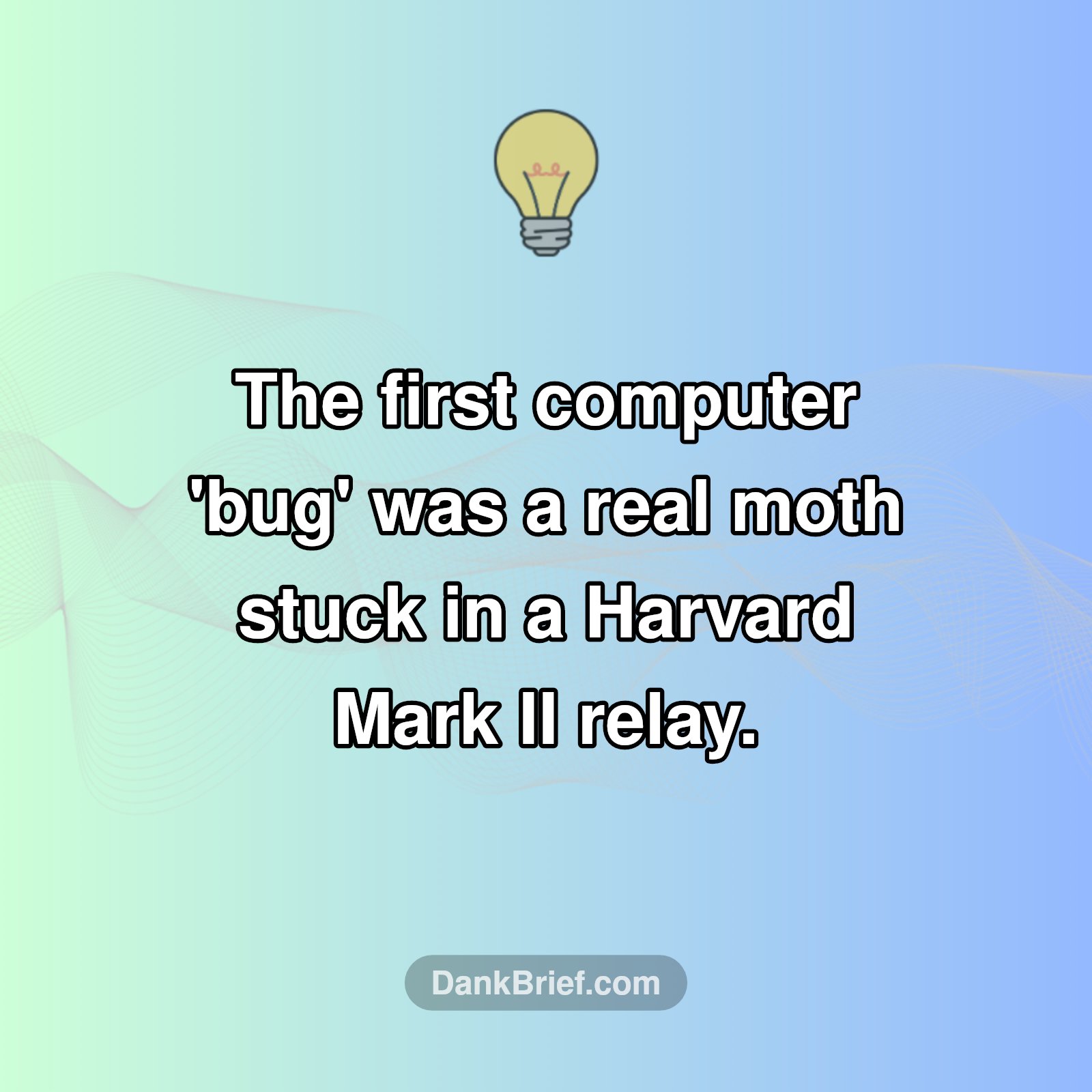 Ever Wonder Why We Say 'Bug'?