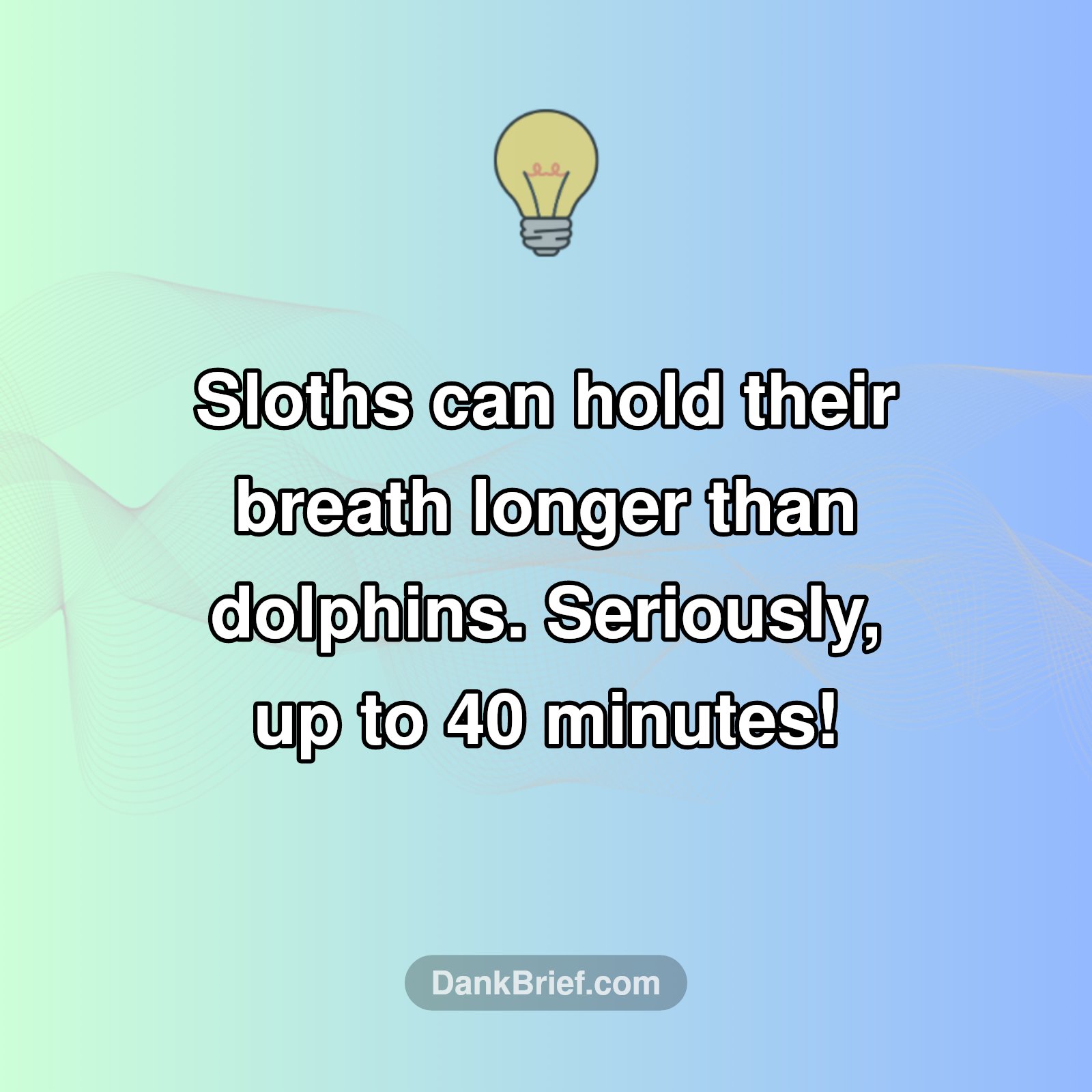 Mind BLOWN: Sloth Superpower!