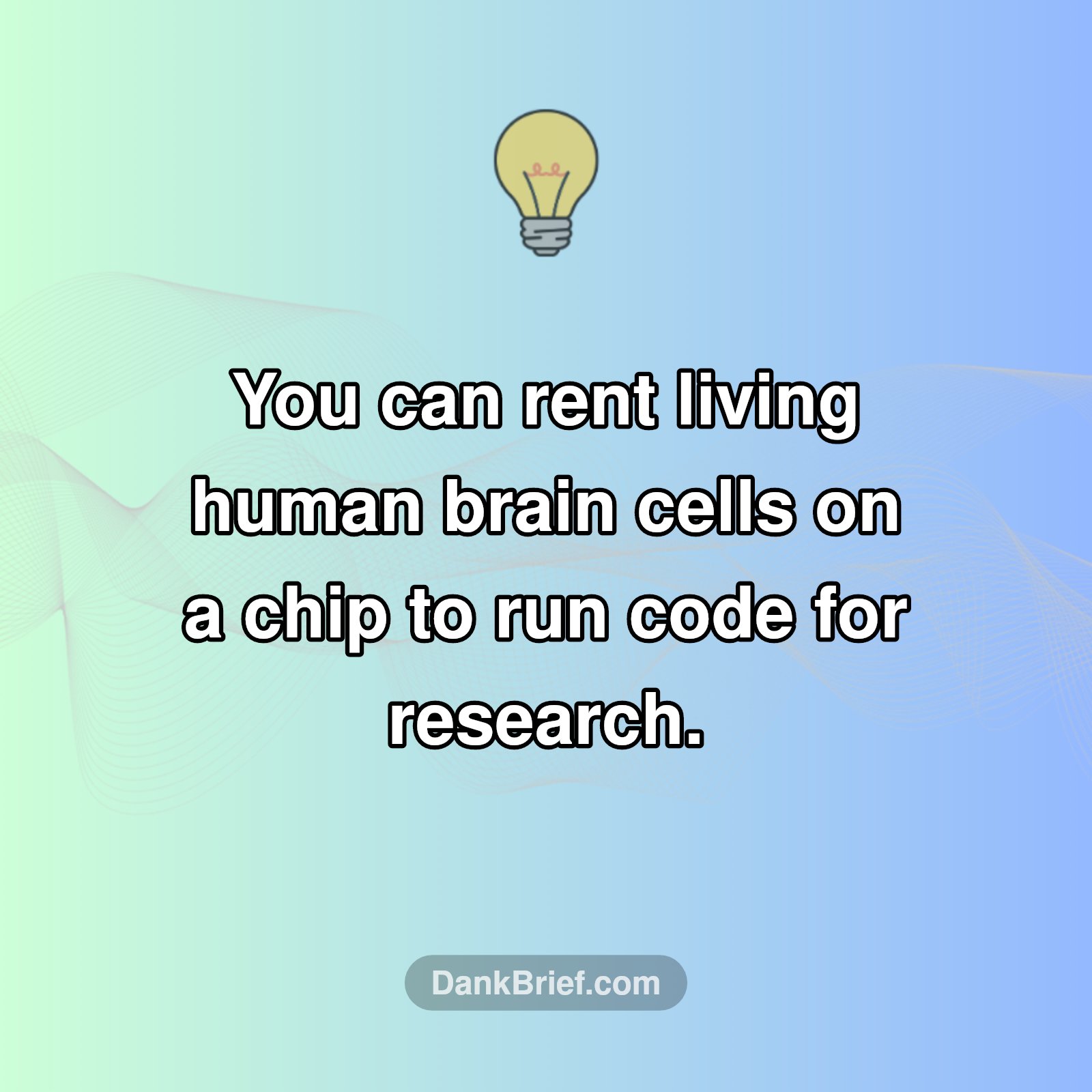 🤯 Brains for Rent: The Future of Computing?!