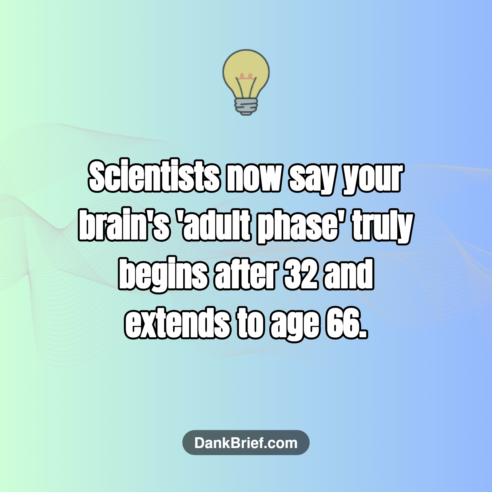 Did You Know…