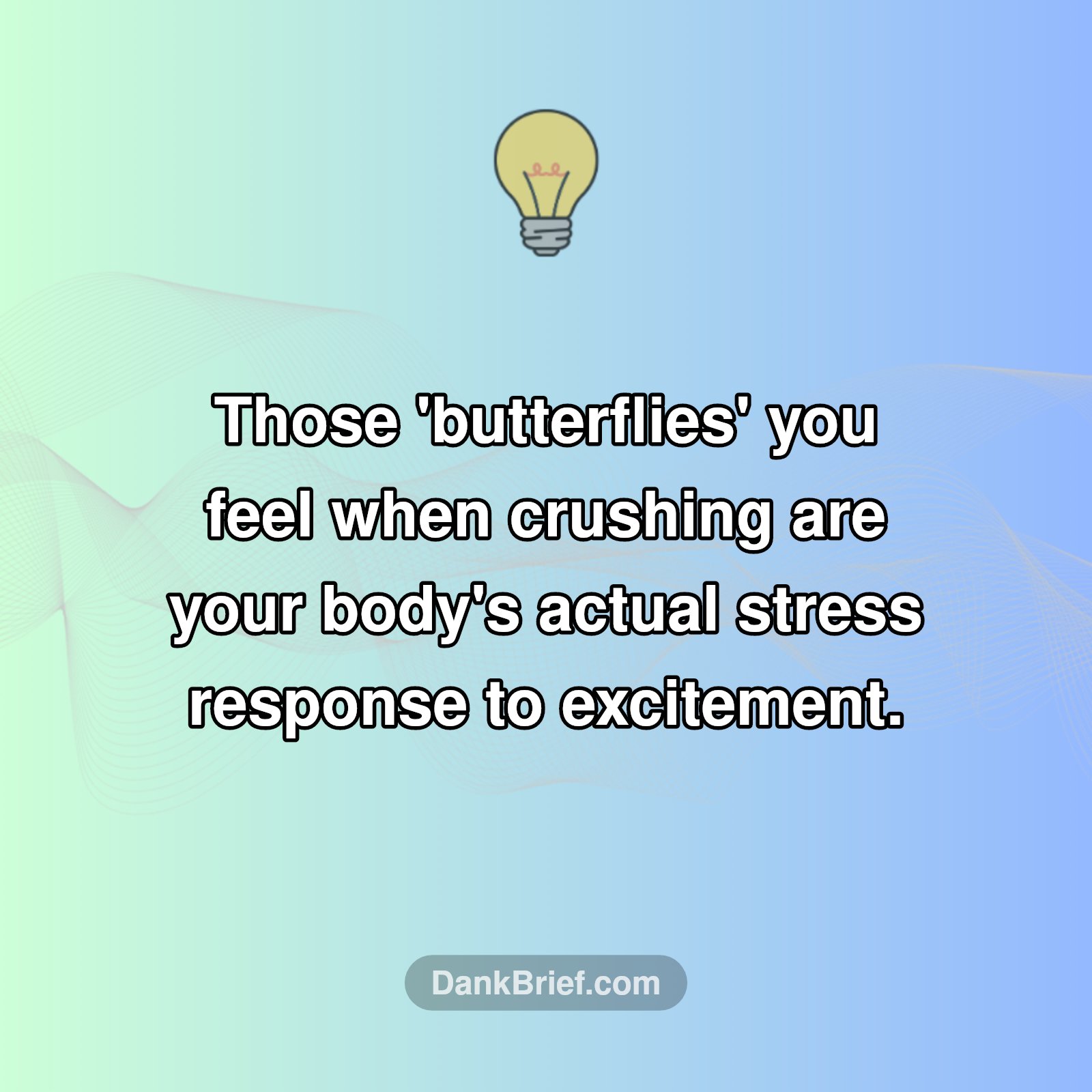 Your 'Butterflies' Are REAL!