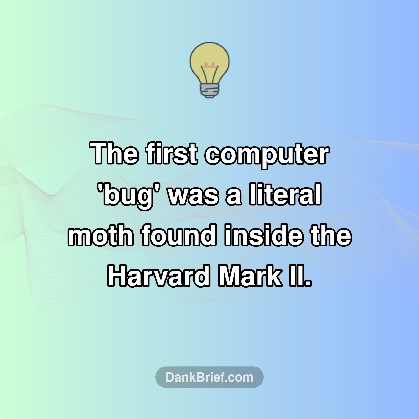 The Original 'Bug' Was A REAL Bug!