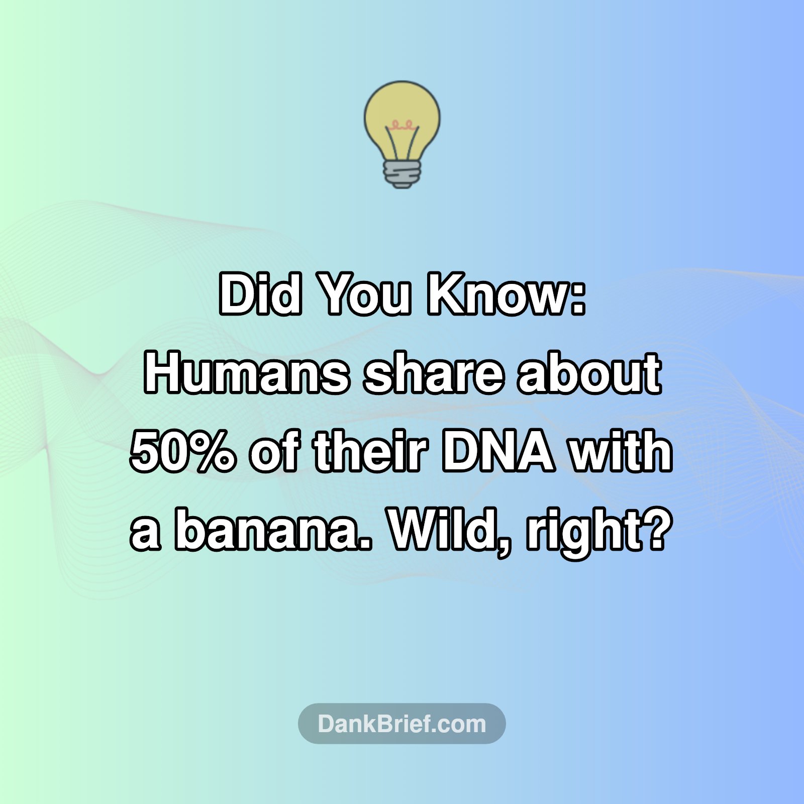 You're Part Banana?! 🍌