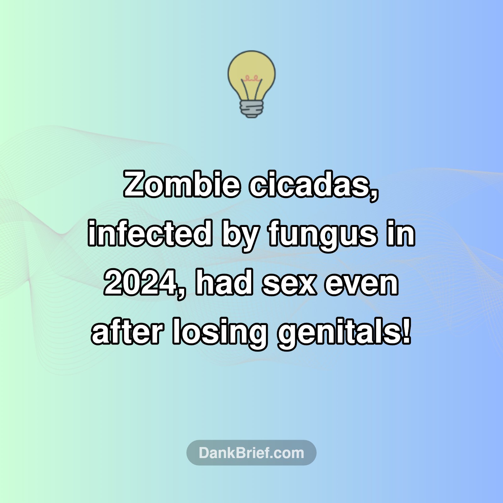 Nature's Wildest: The Curious Case of Zombie Cicadas