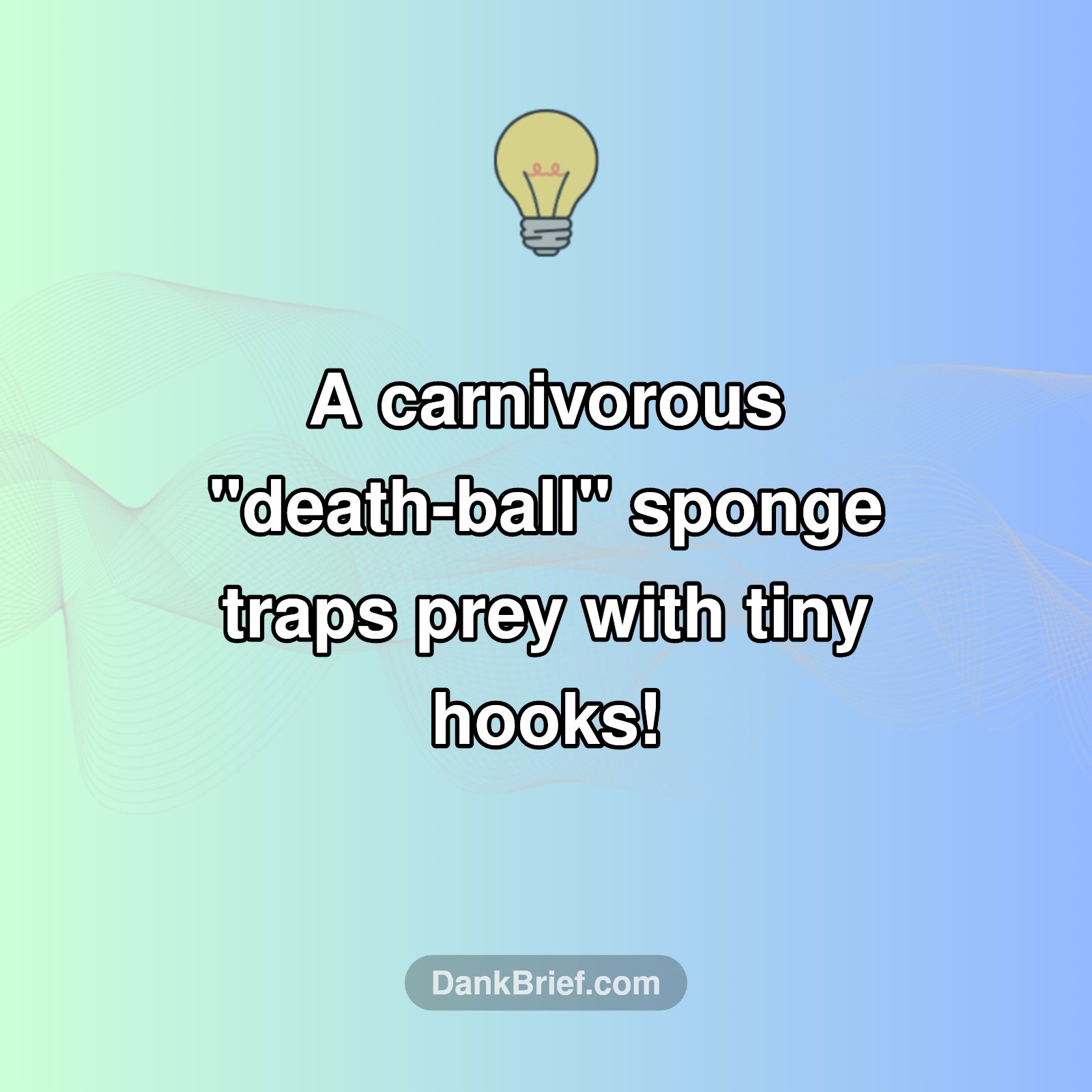 Mind-Blowing Ocean Discovery!