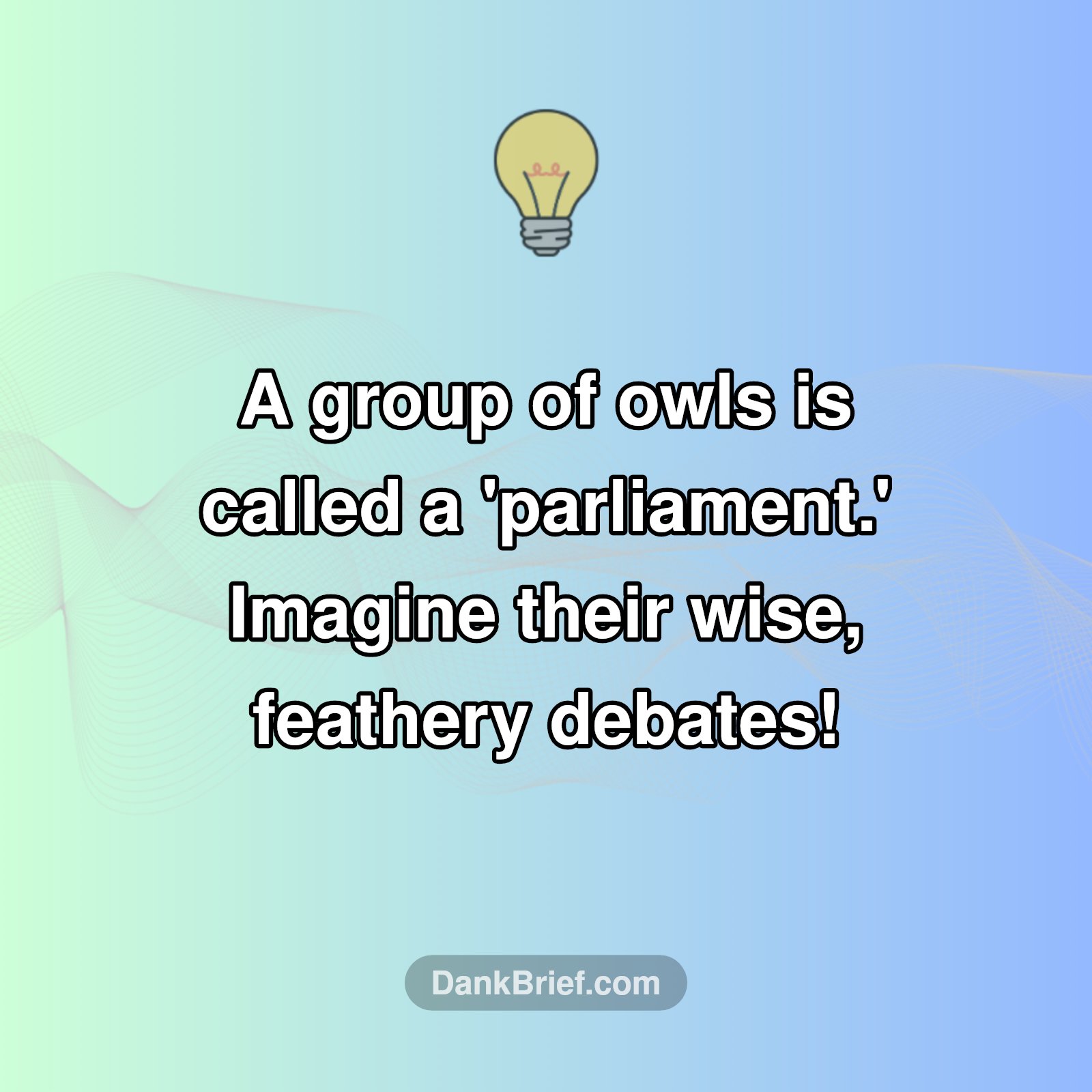 Owls' Secret Society!