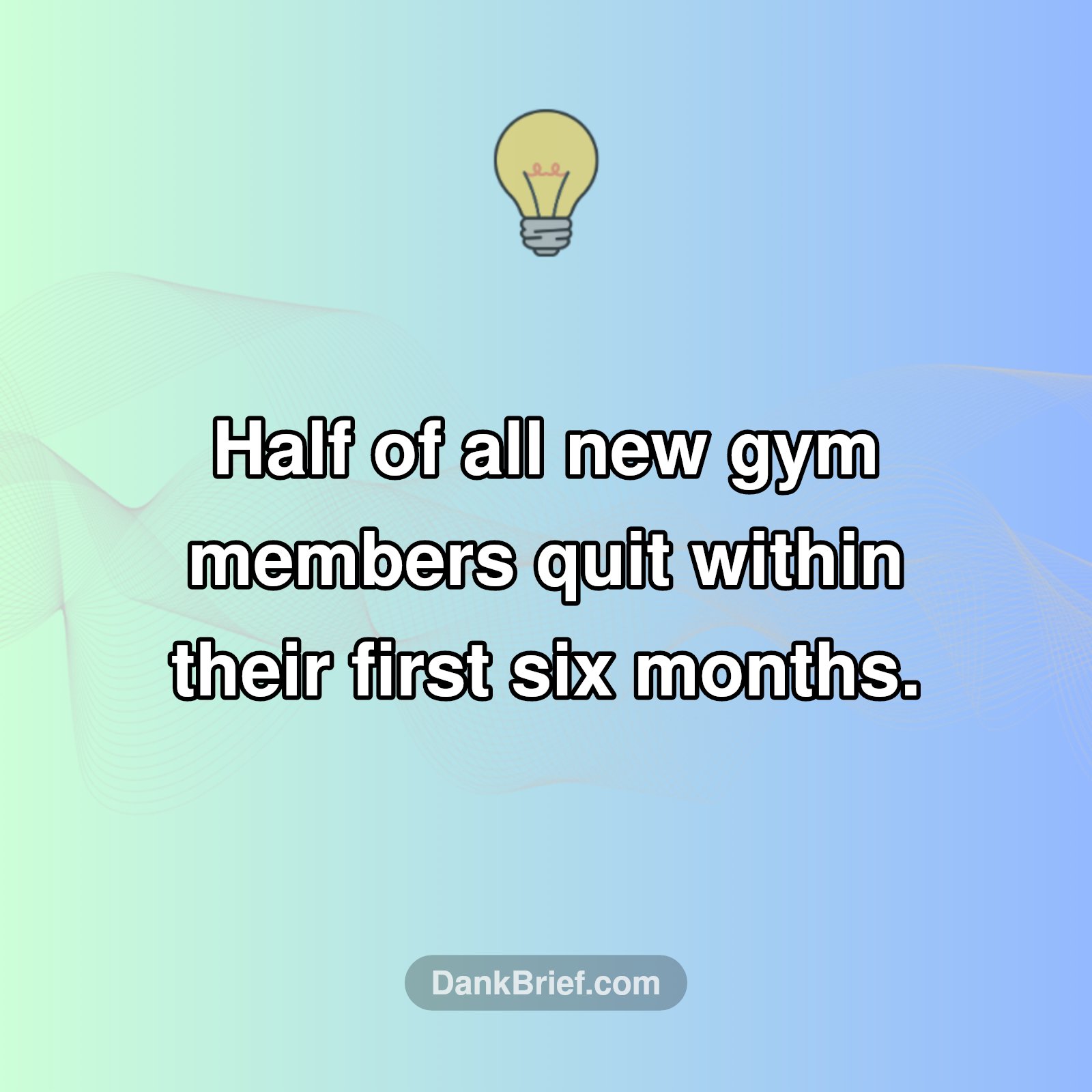 Gym Life: The Shocking Truth About New Members!