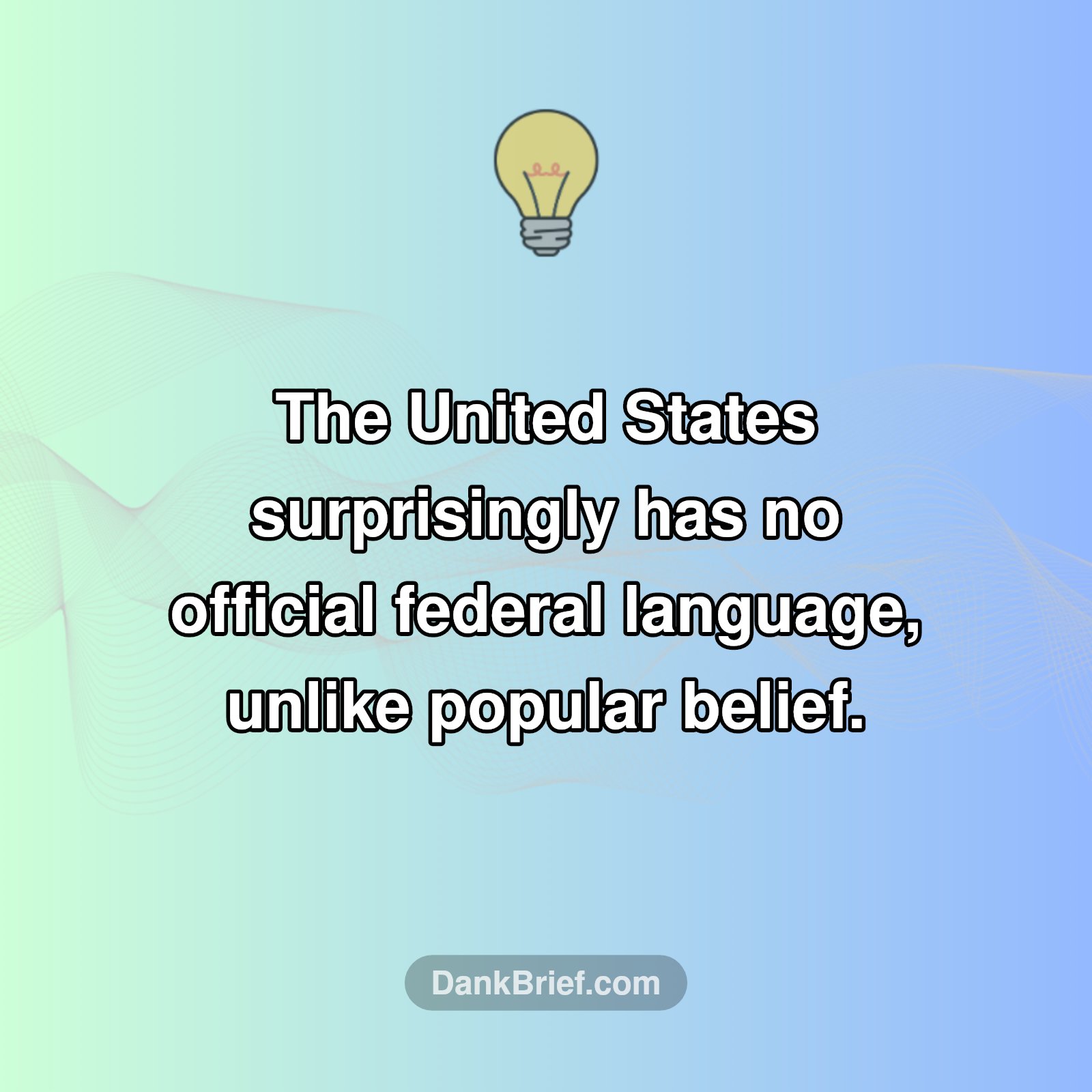 Say What?! The US Has NO Official Language!