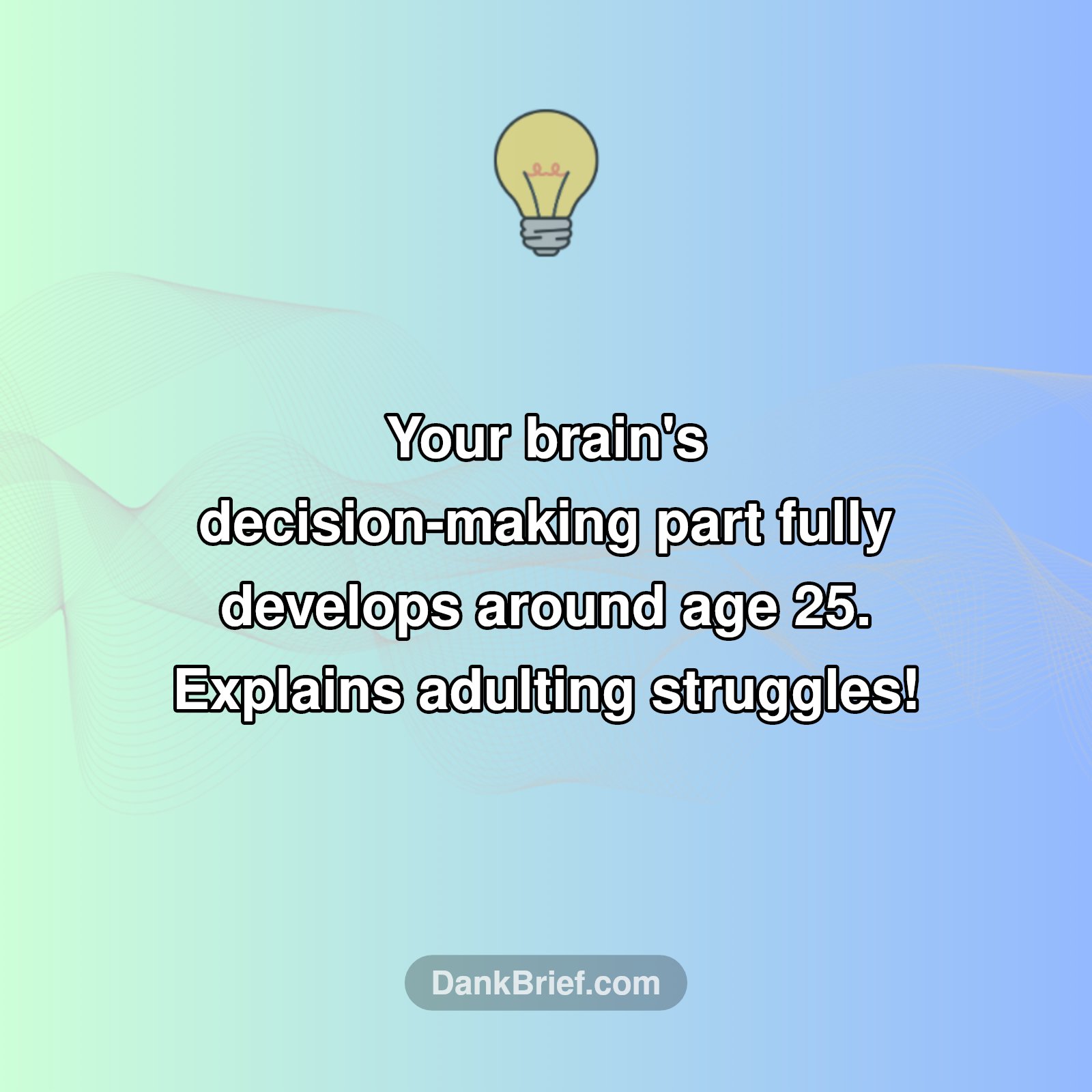 Brain's Not Done Yet?!