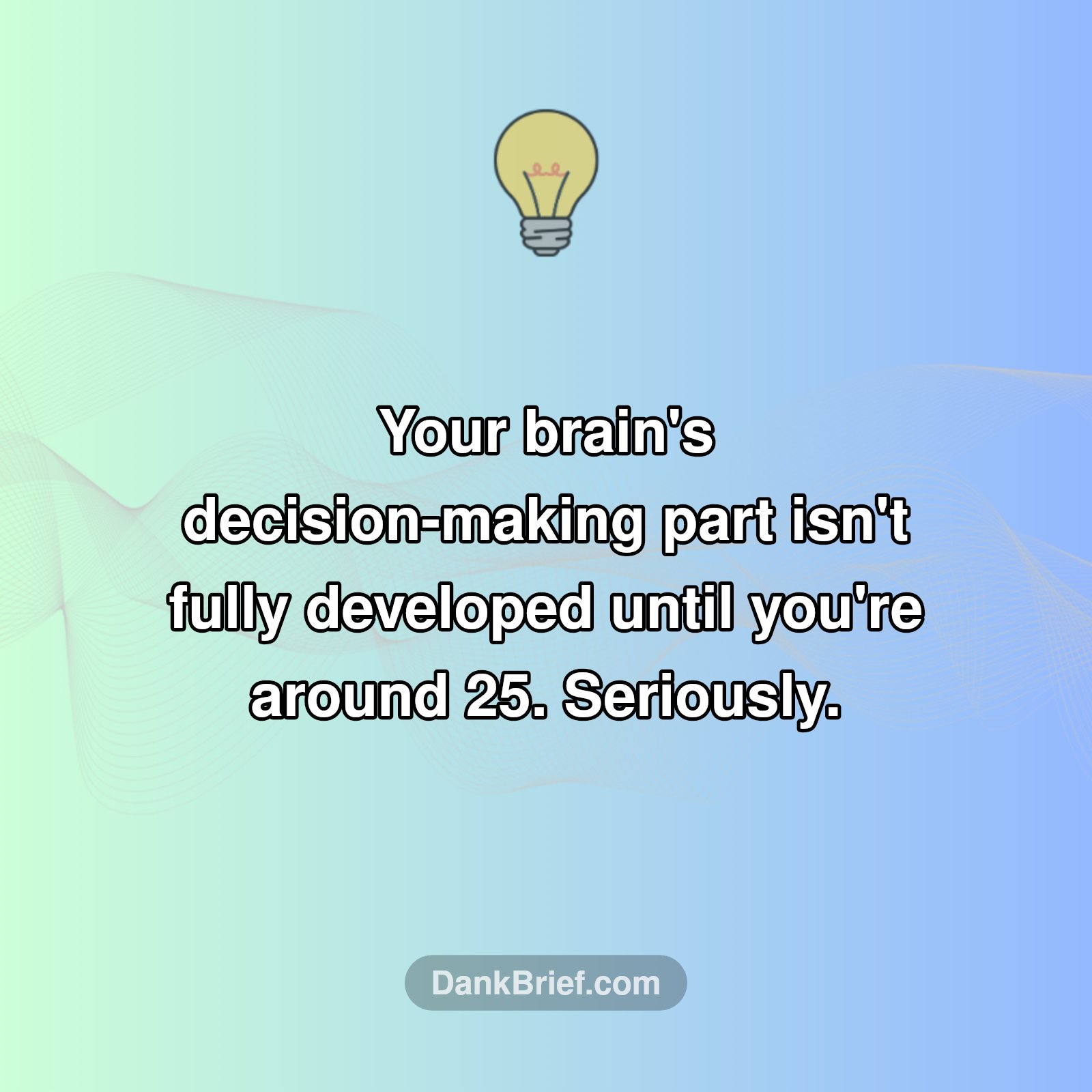 Your Brain's Still Buffering!